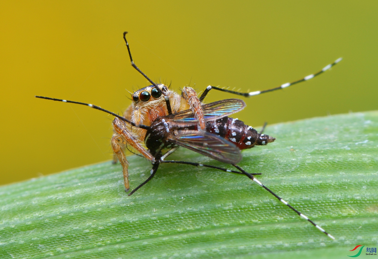 DSC_8854 ����..JPG