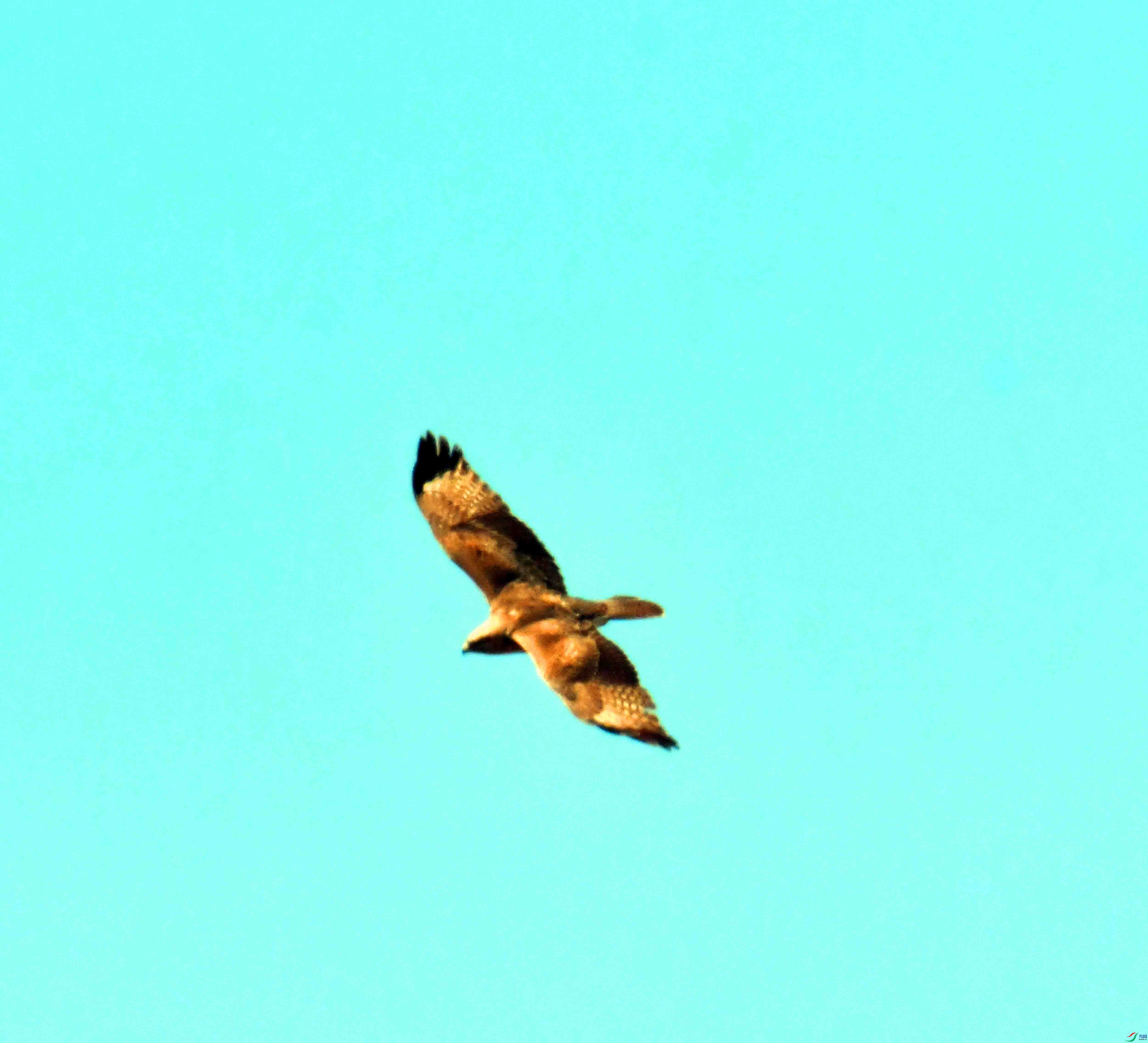 DSC_1218.JPG