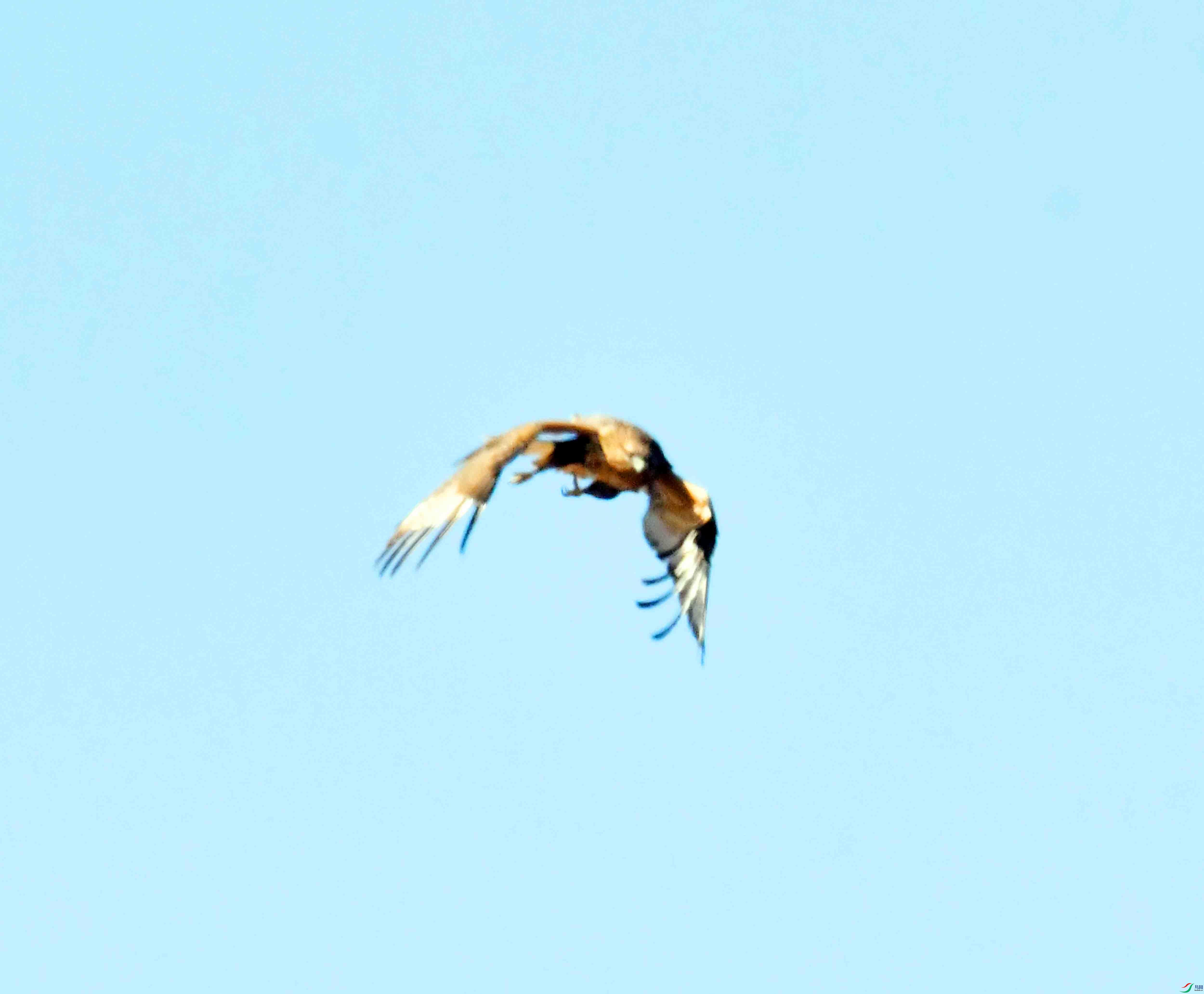 DSC_1223.JPG