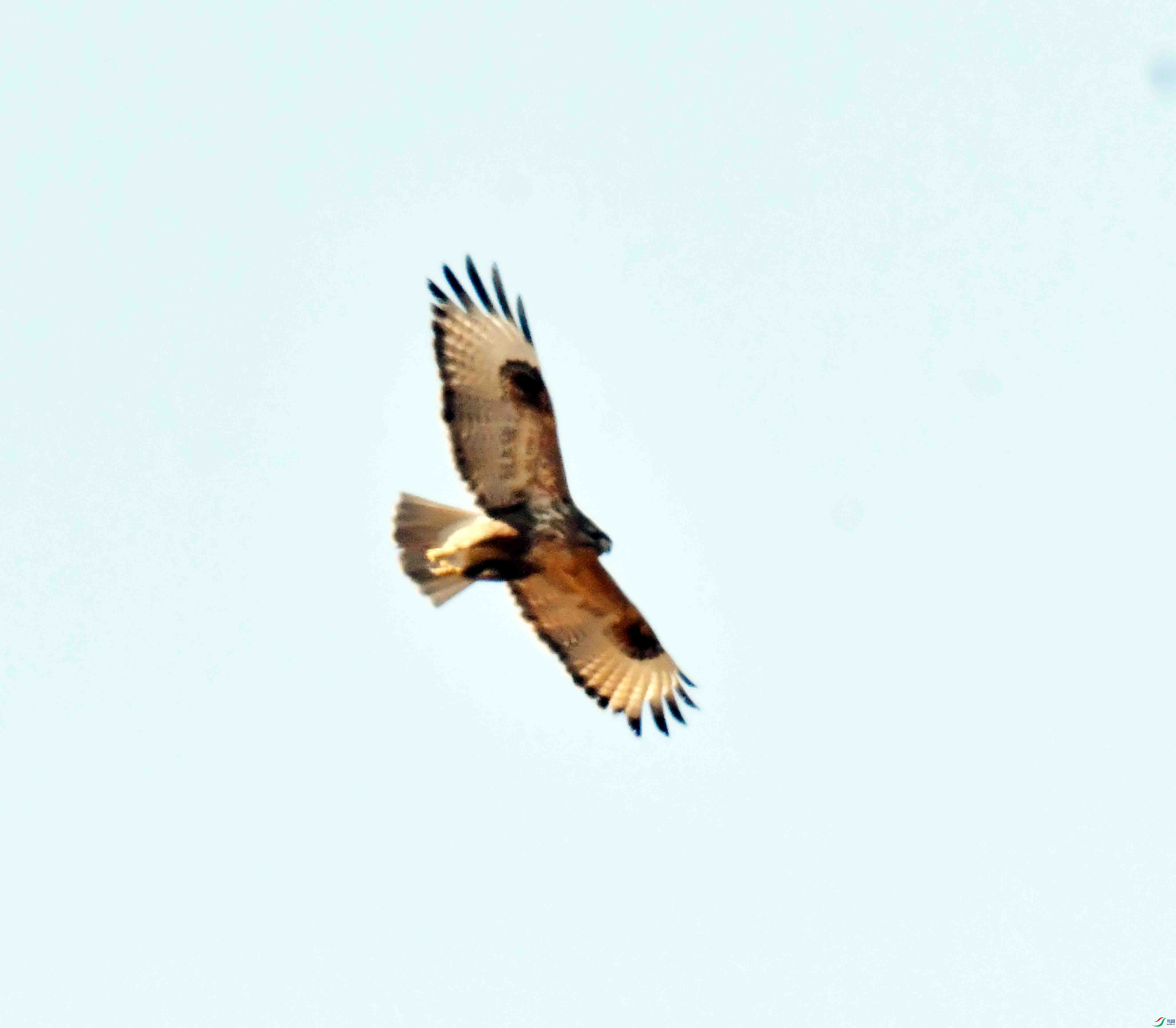 DSC_1225.JPG