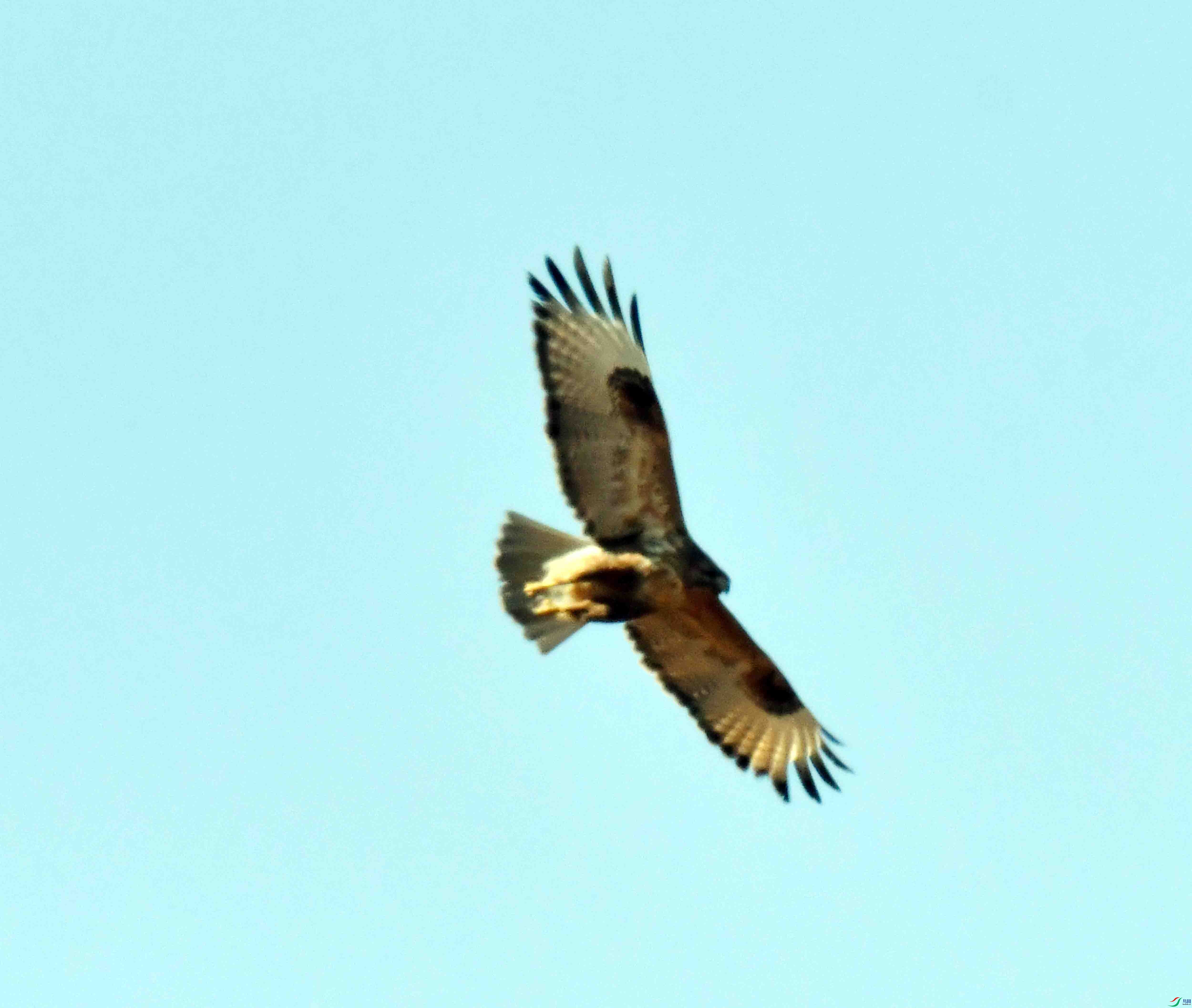 DSC_1224.JPG