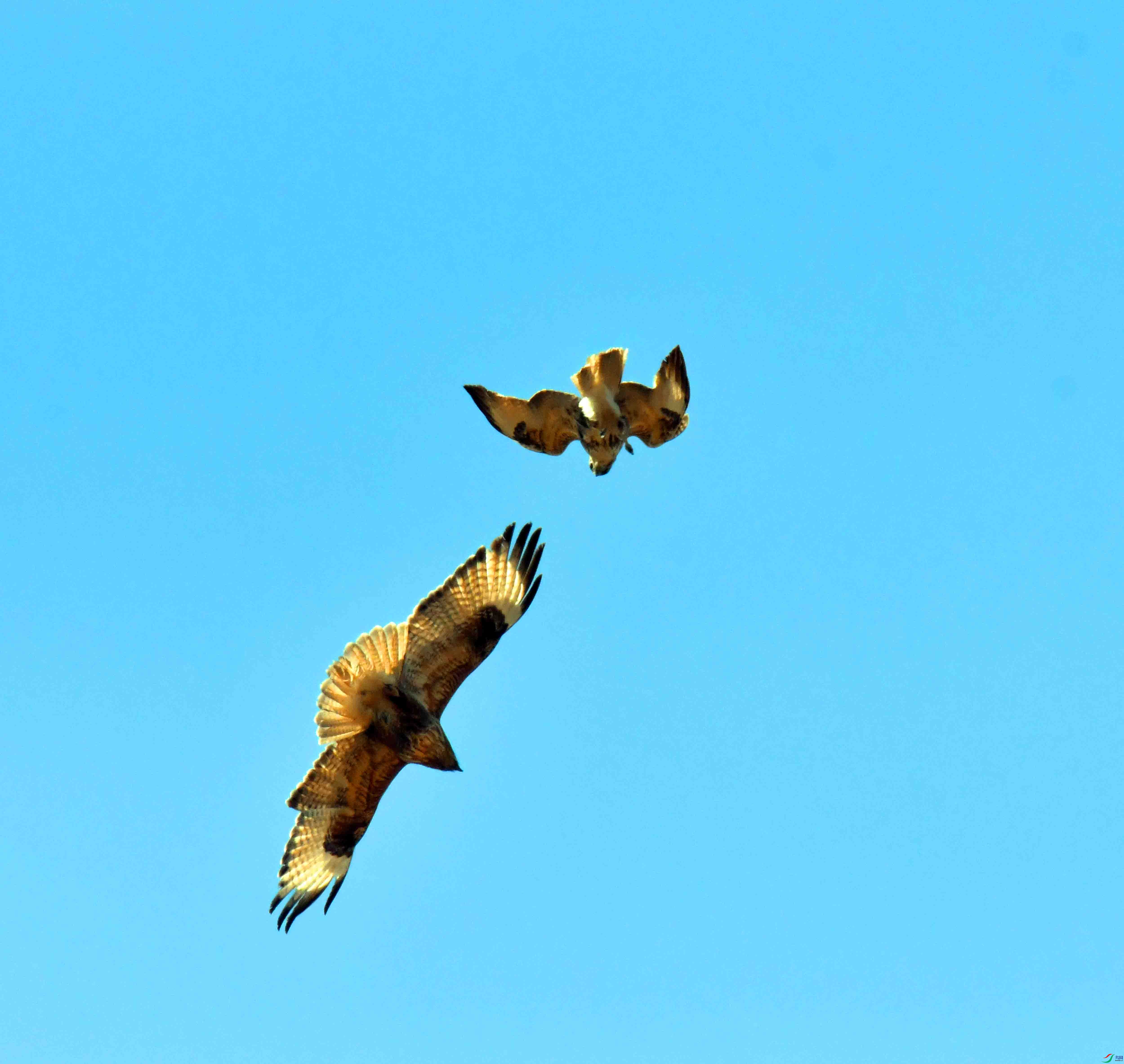 DSC_1284.JPG