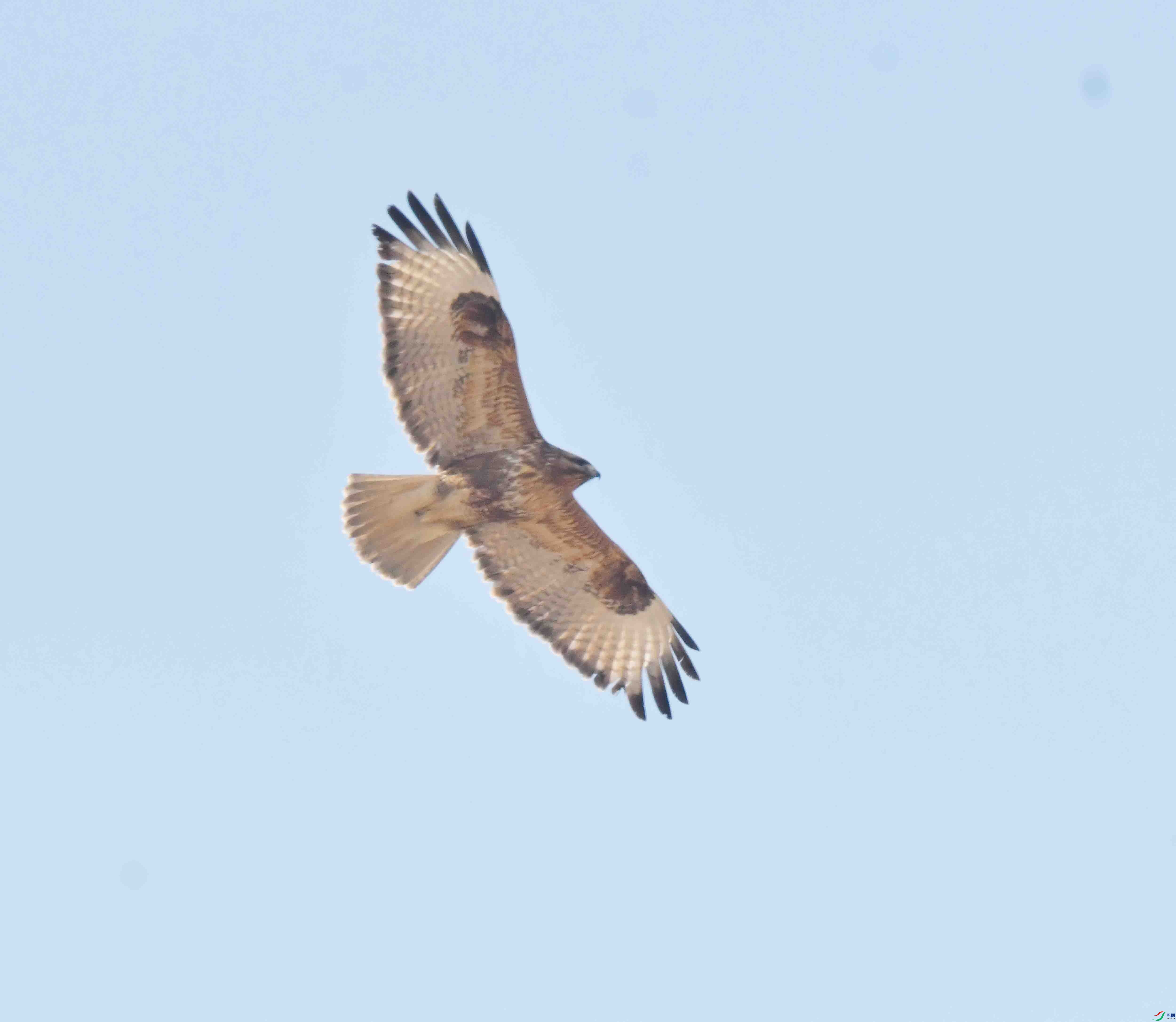 DSC_3144.JPG