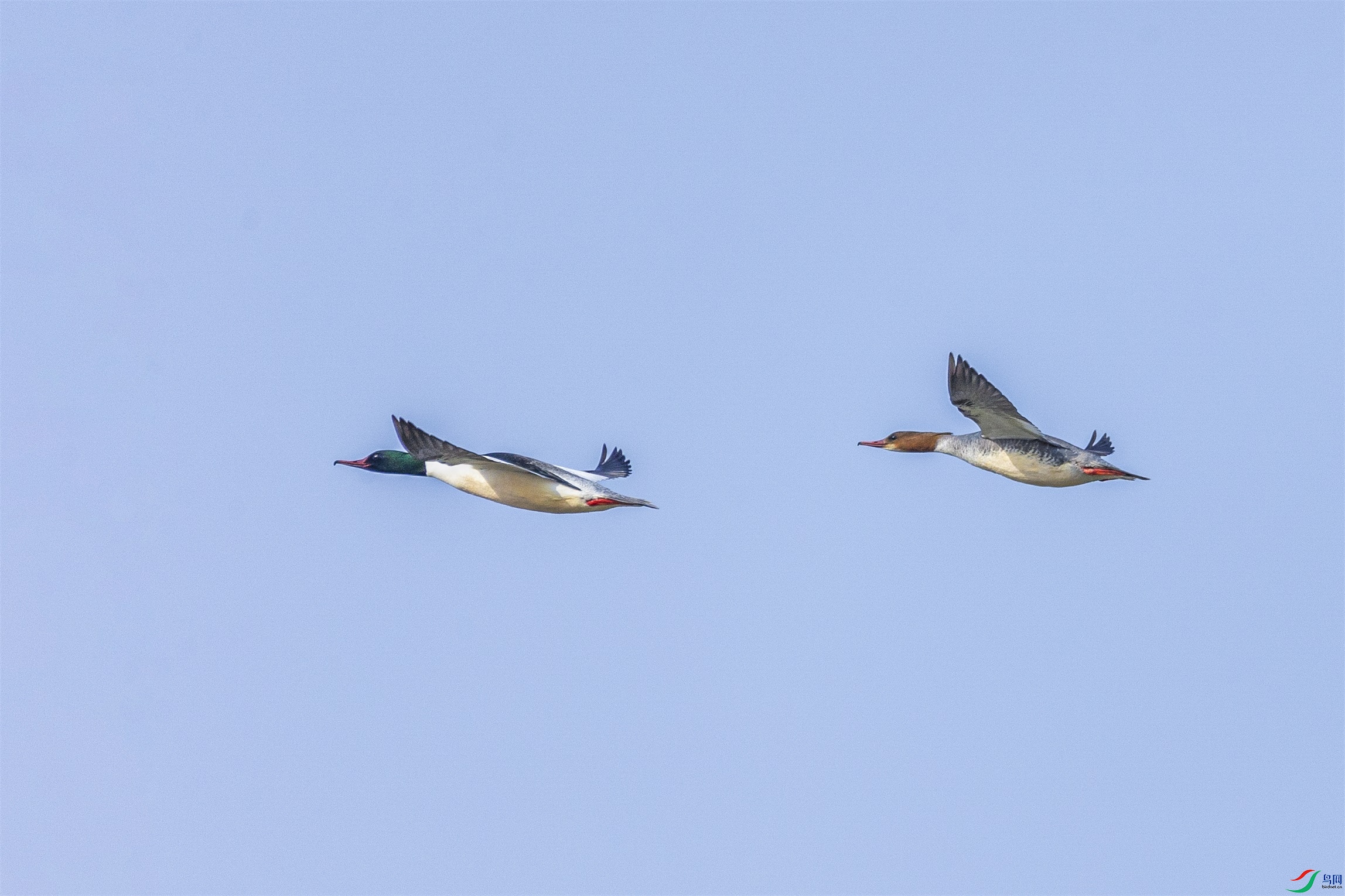 1K3A5855 ����1.jpg