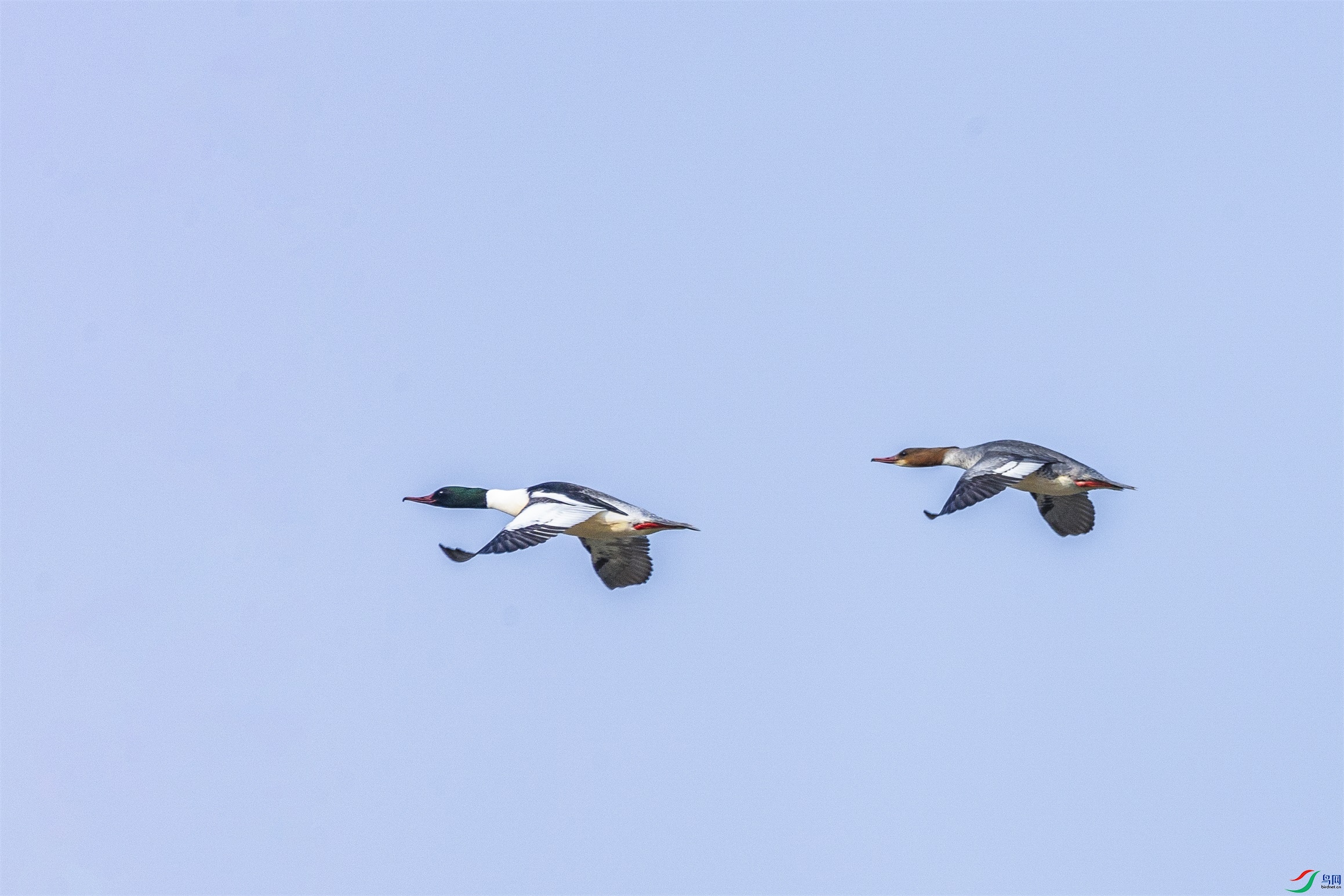 1K3A5858 ����1.jpg