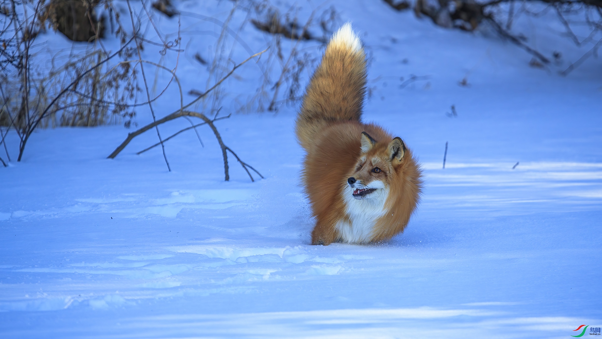 _DX_1054.jpg