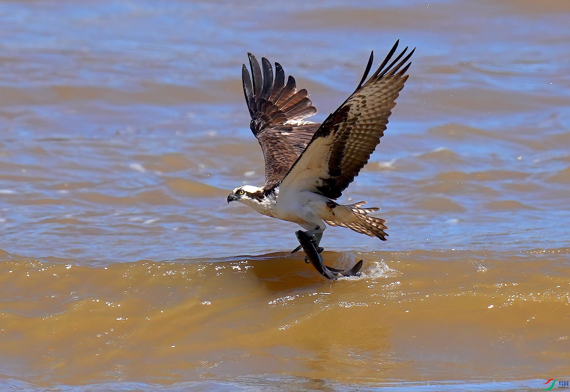 DSC05585--.jpg