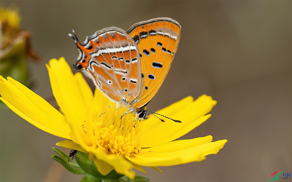 P6103726-1�ҵ�.jpg