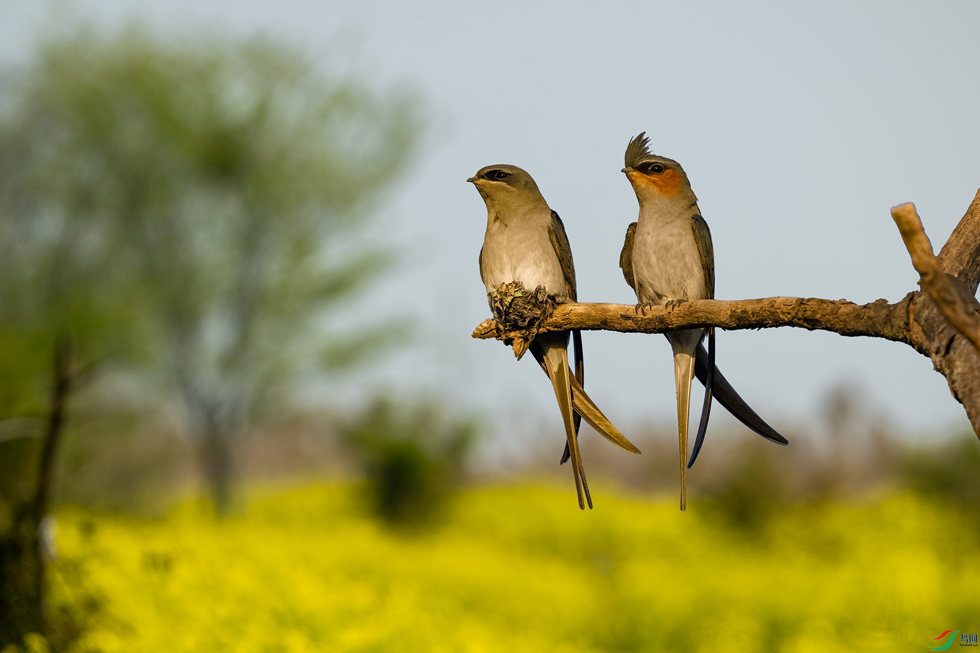 _DSC5865 ����.jpg