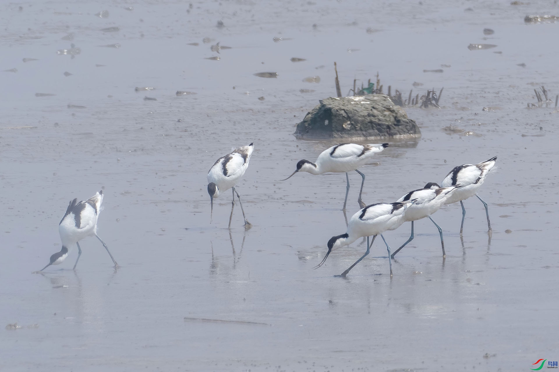 01 P4112268-DeNoiseAI-standard.jpg