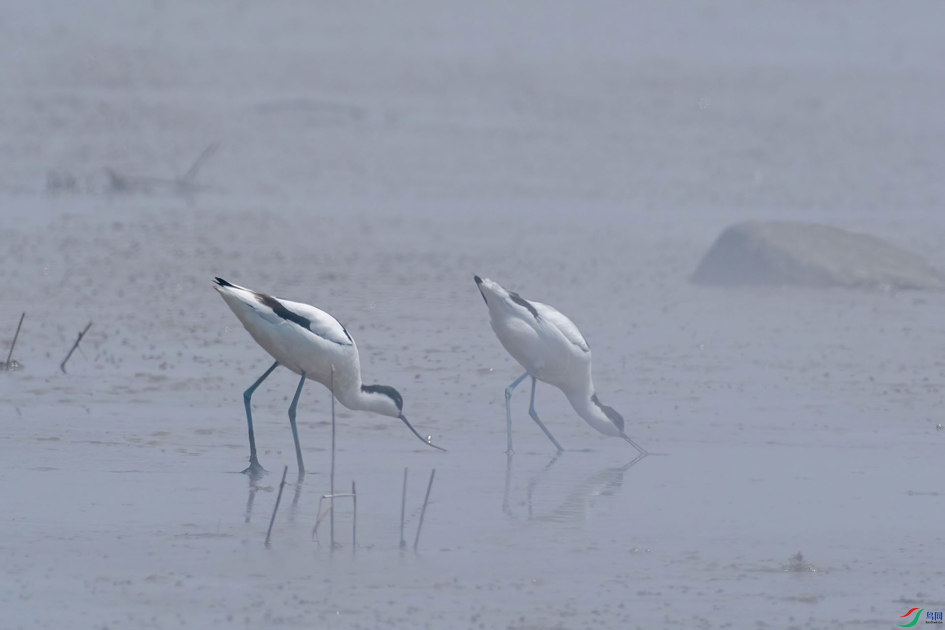 02 P4111862-DeNoiseAI-standard.jpg