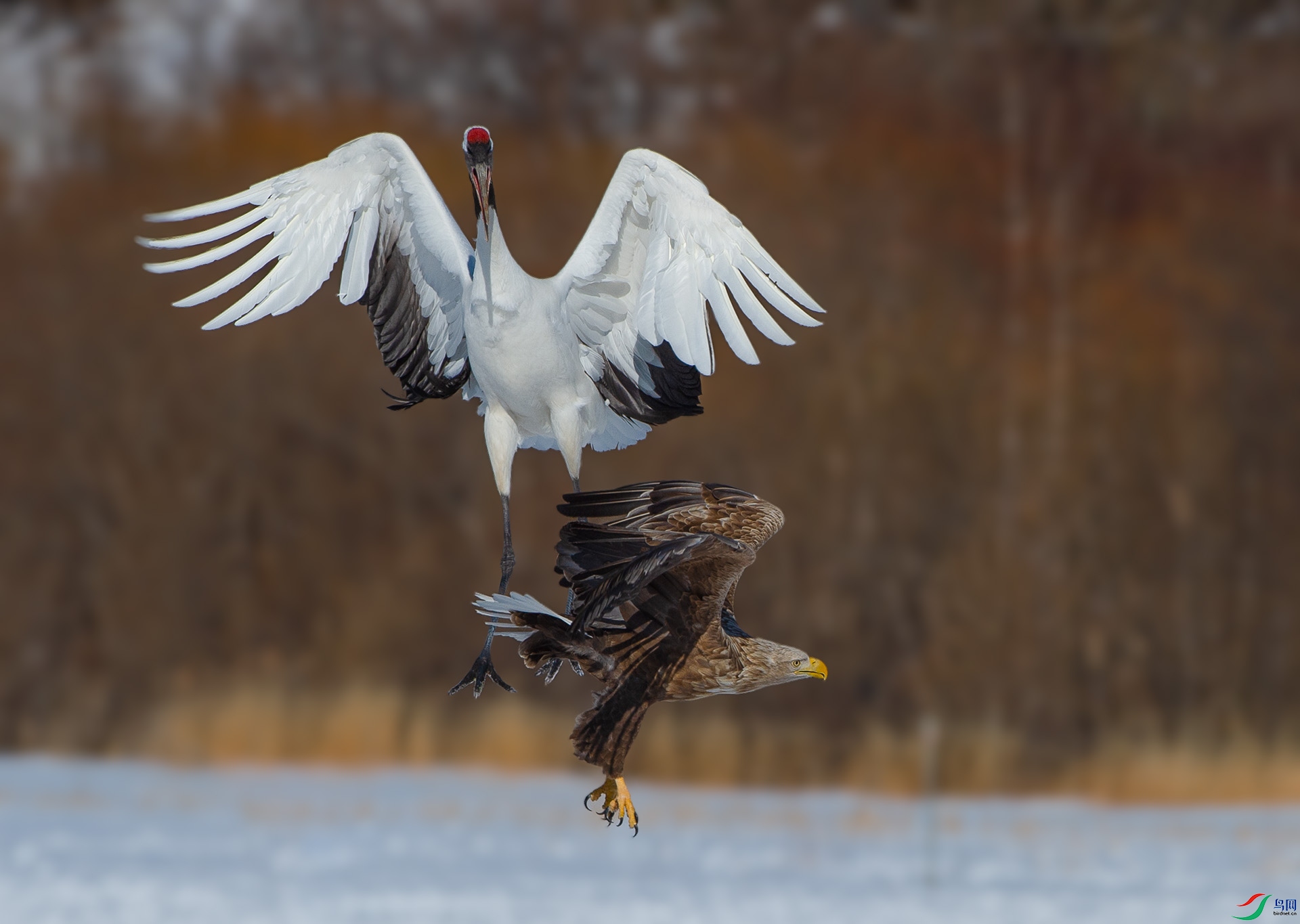 ��DSC_0037.jpg