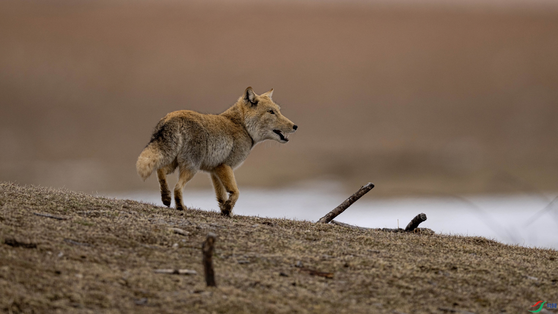 DSC_3394 ����_01.JPG