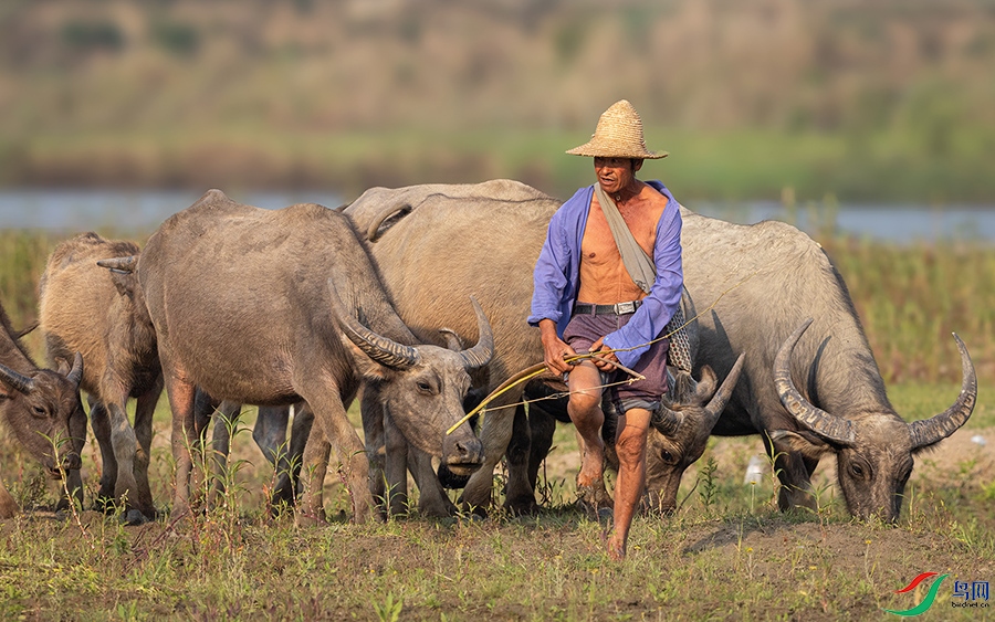 0R5A0088 ����.jpg