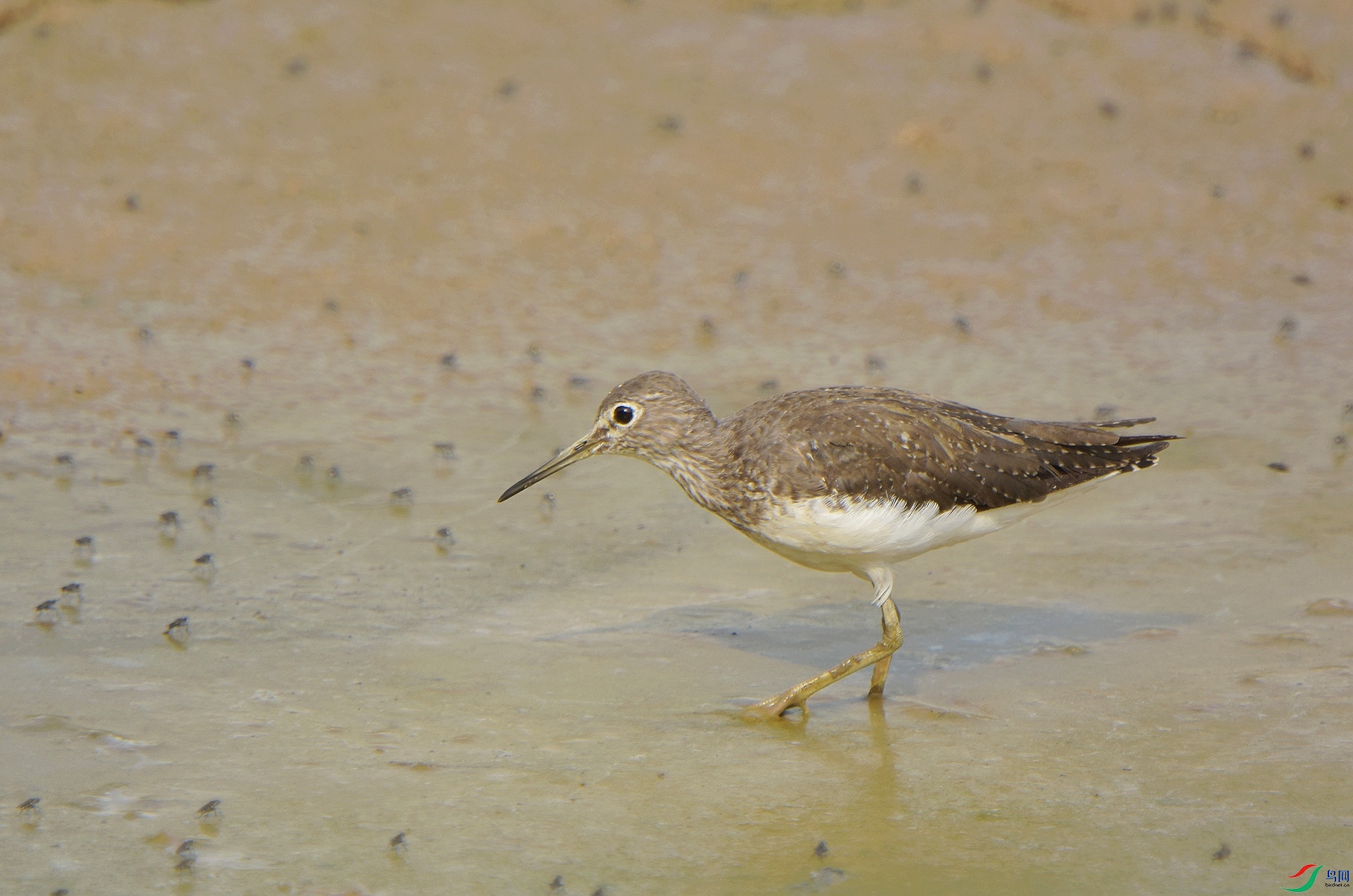 D72_2470.jpg
