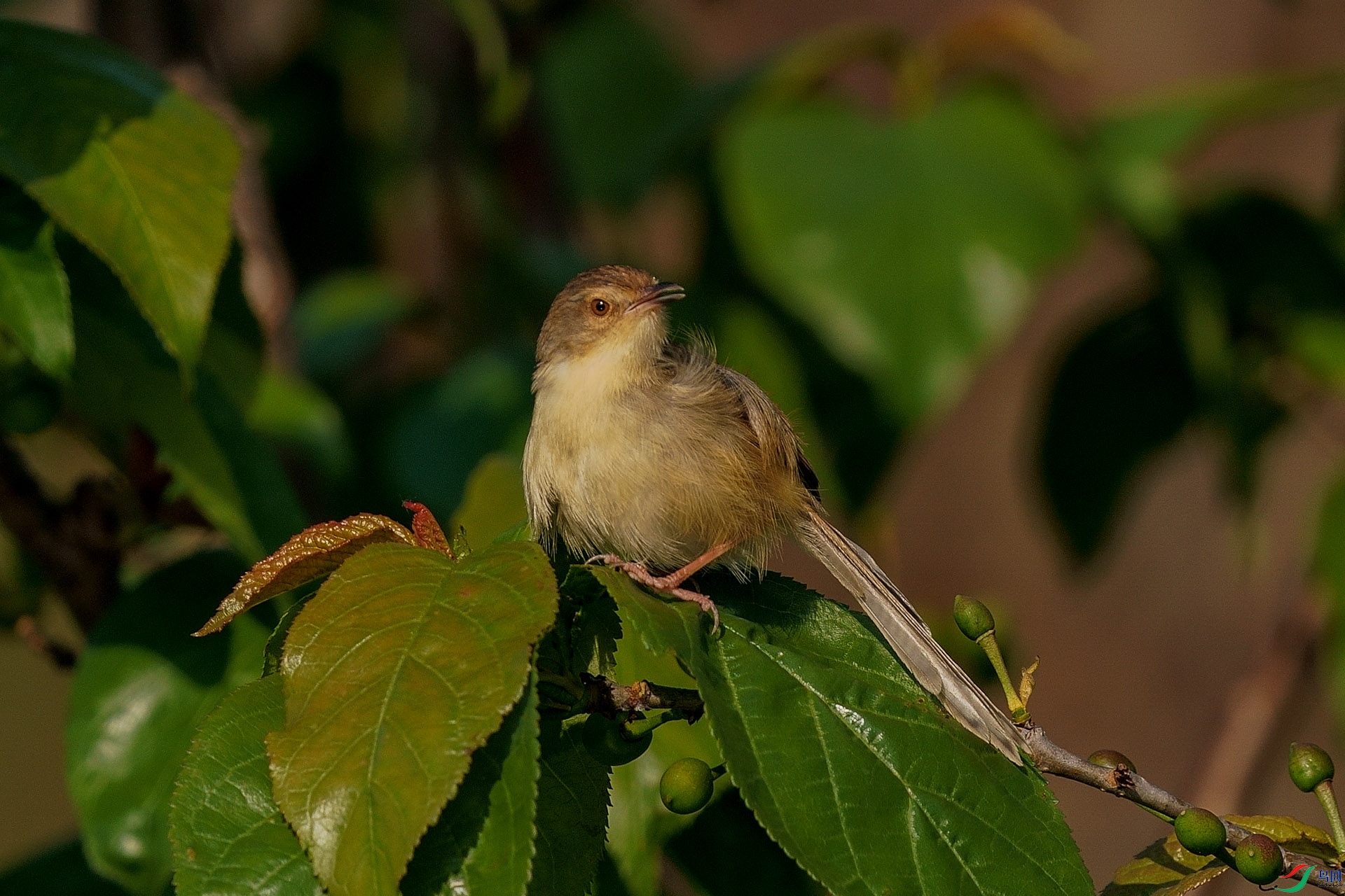 DSC08847.JPG