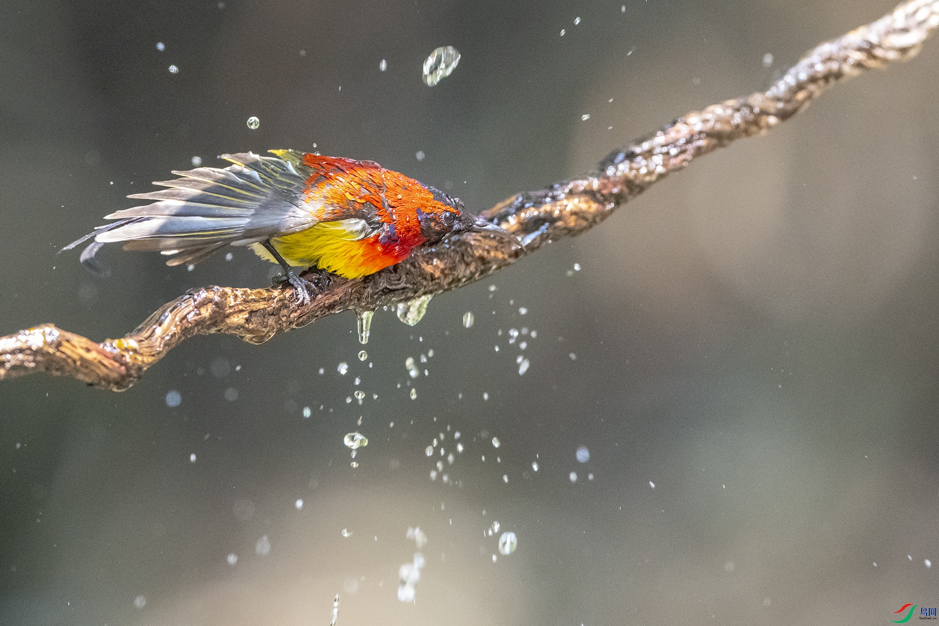 2545 ����.jpg