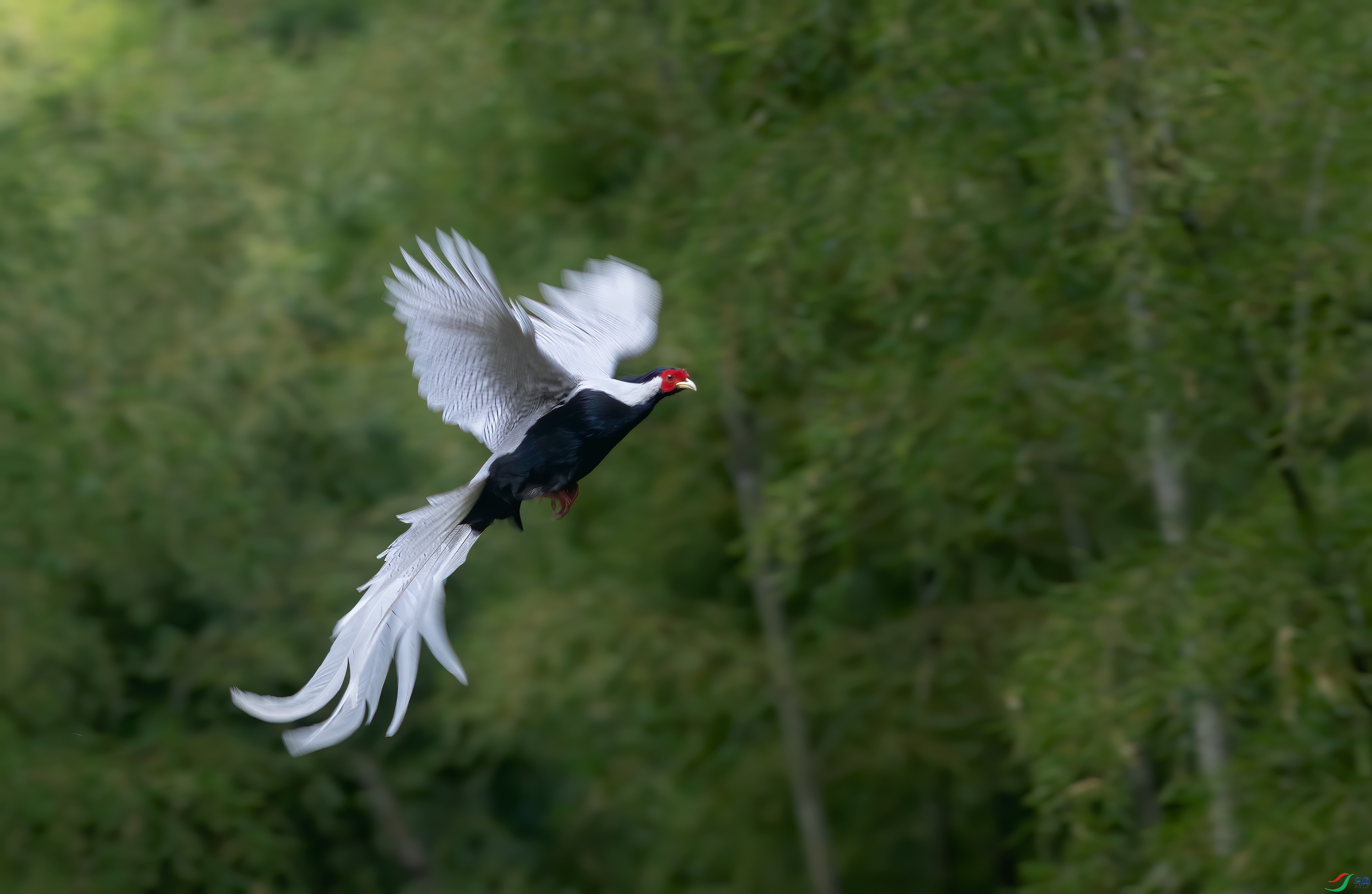 DSC_71471.jpg