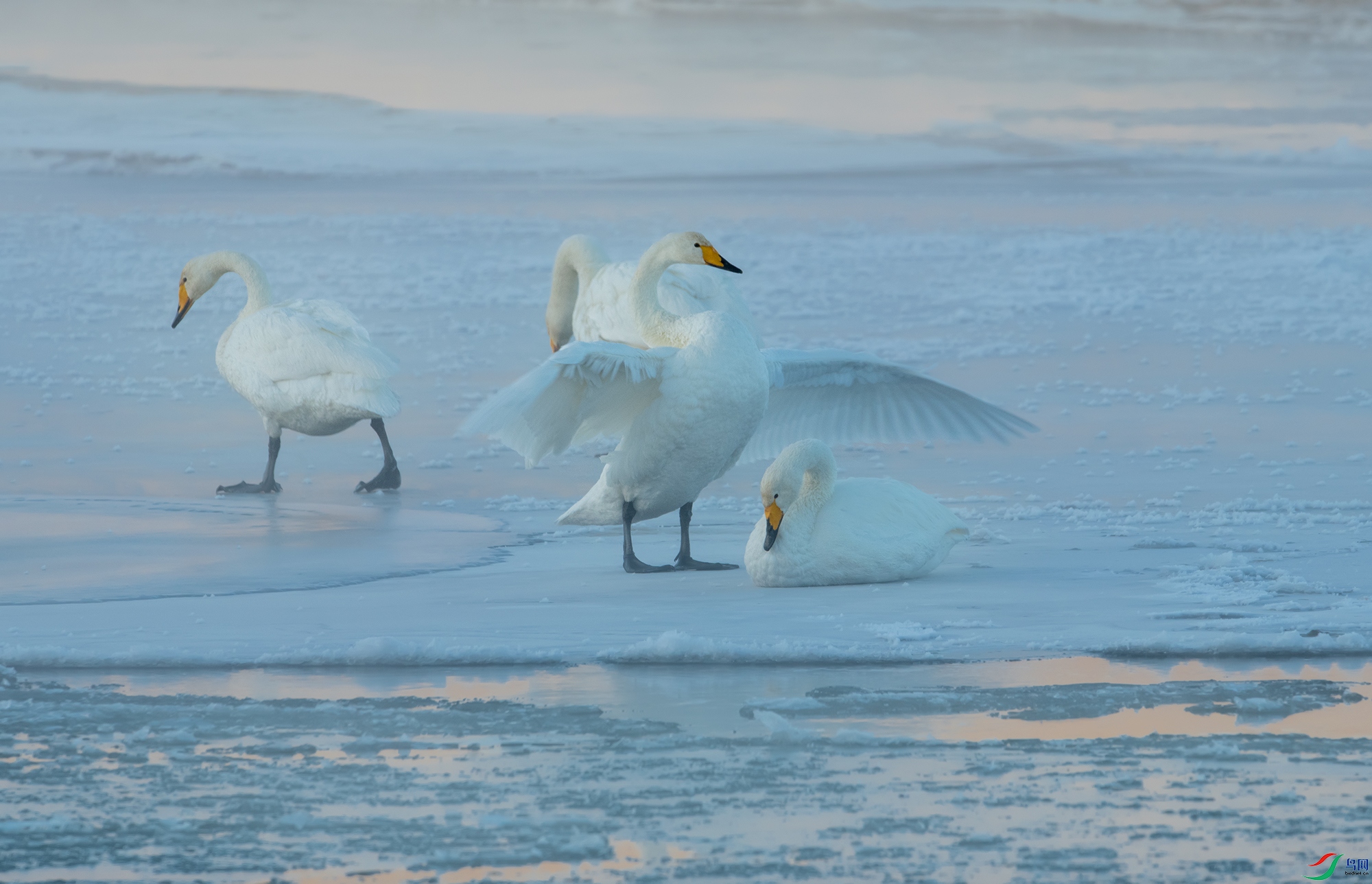 DSC_08971.jpg