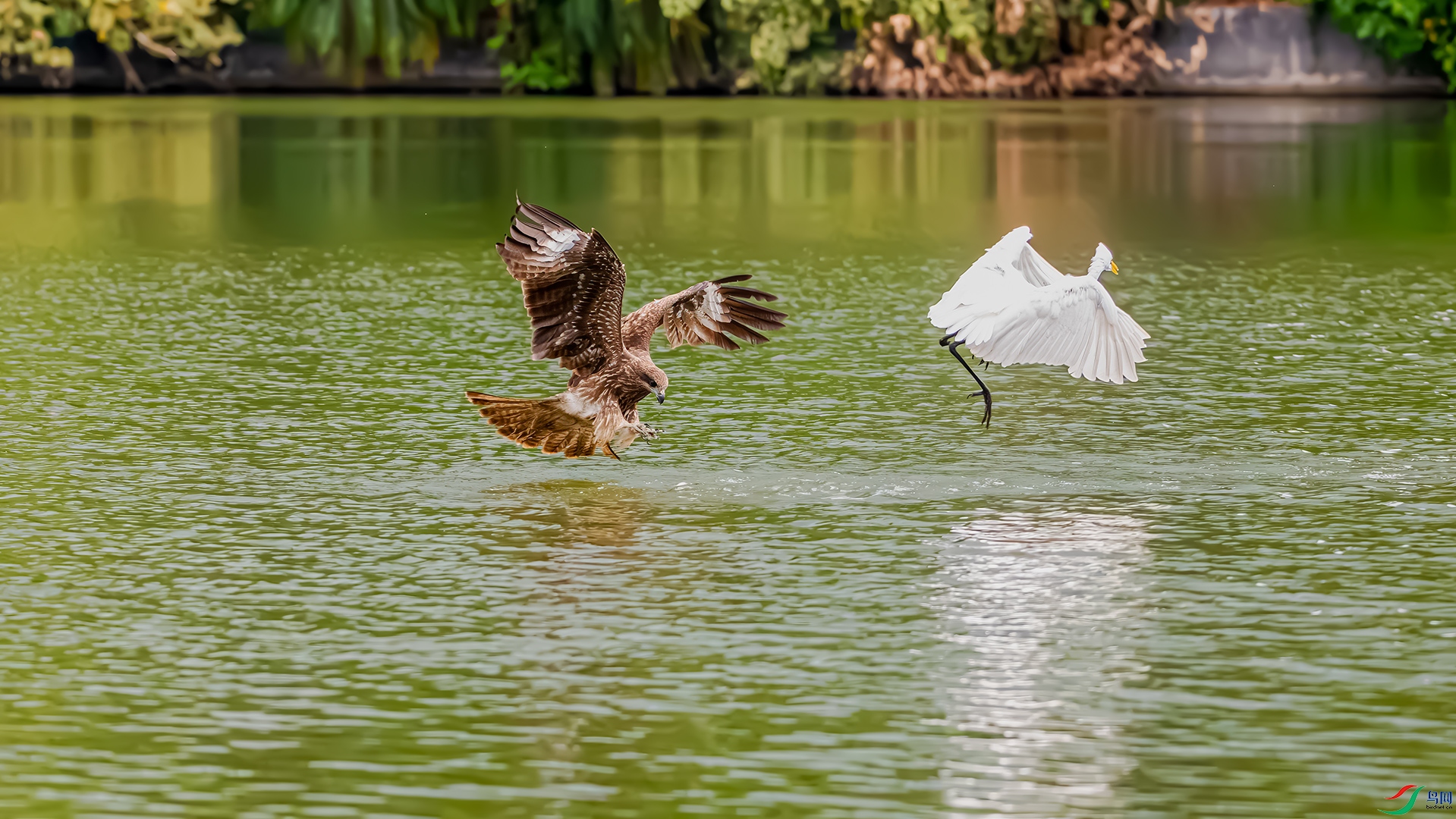 DSC_2576.jpg
