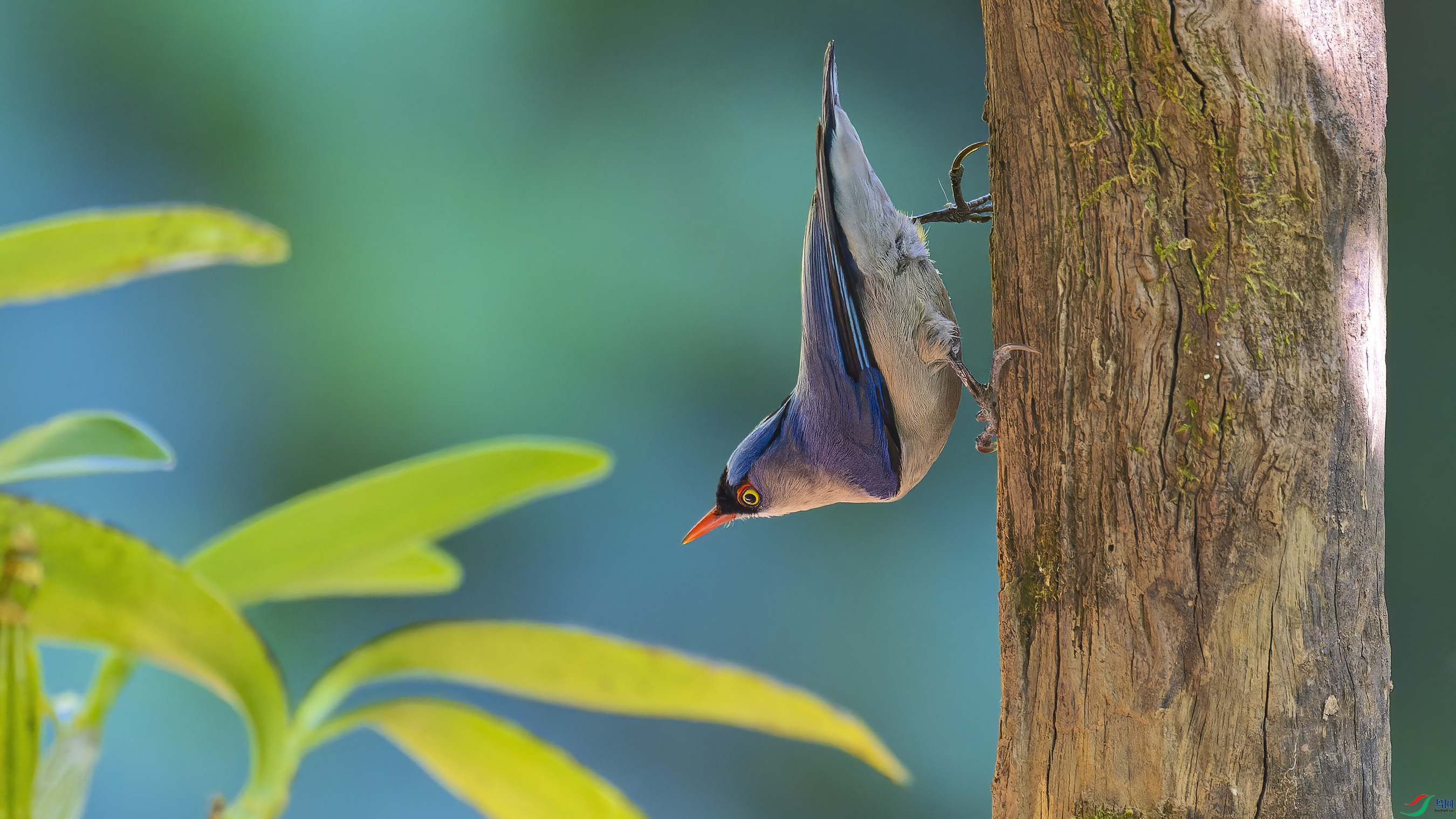 DSC_7060_DxO.jpg