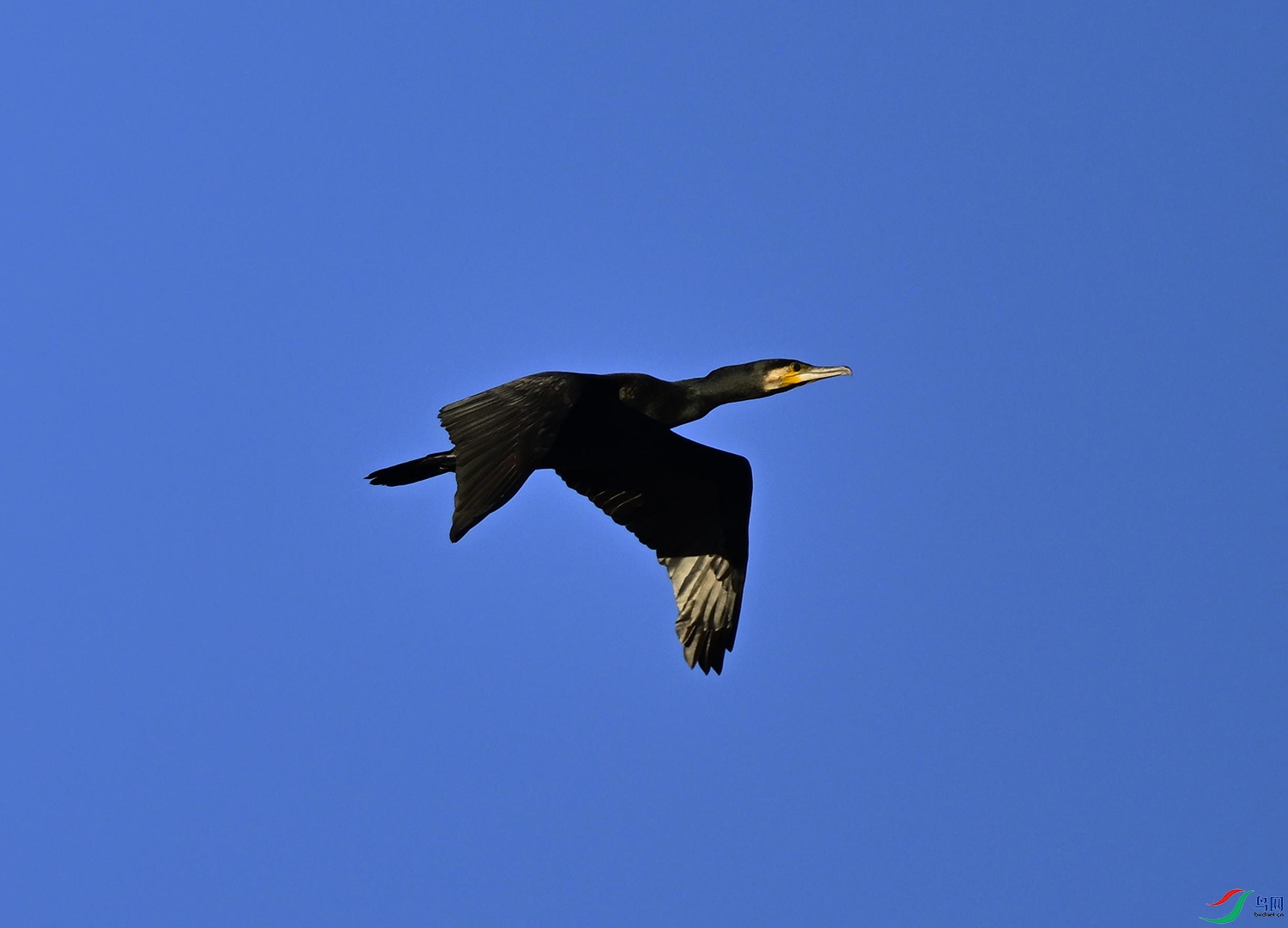 _DSC6272_2.jpg