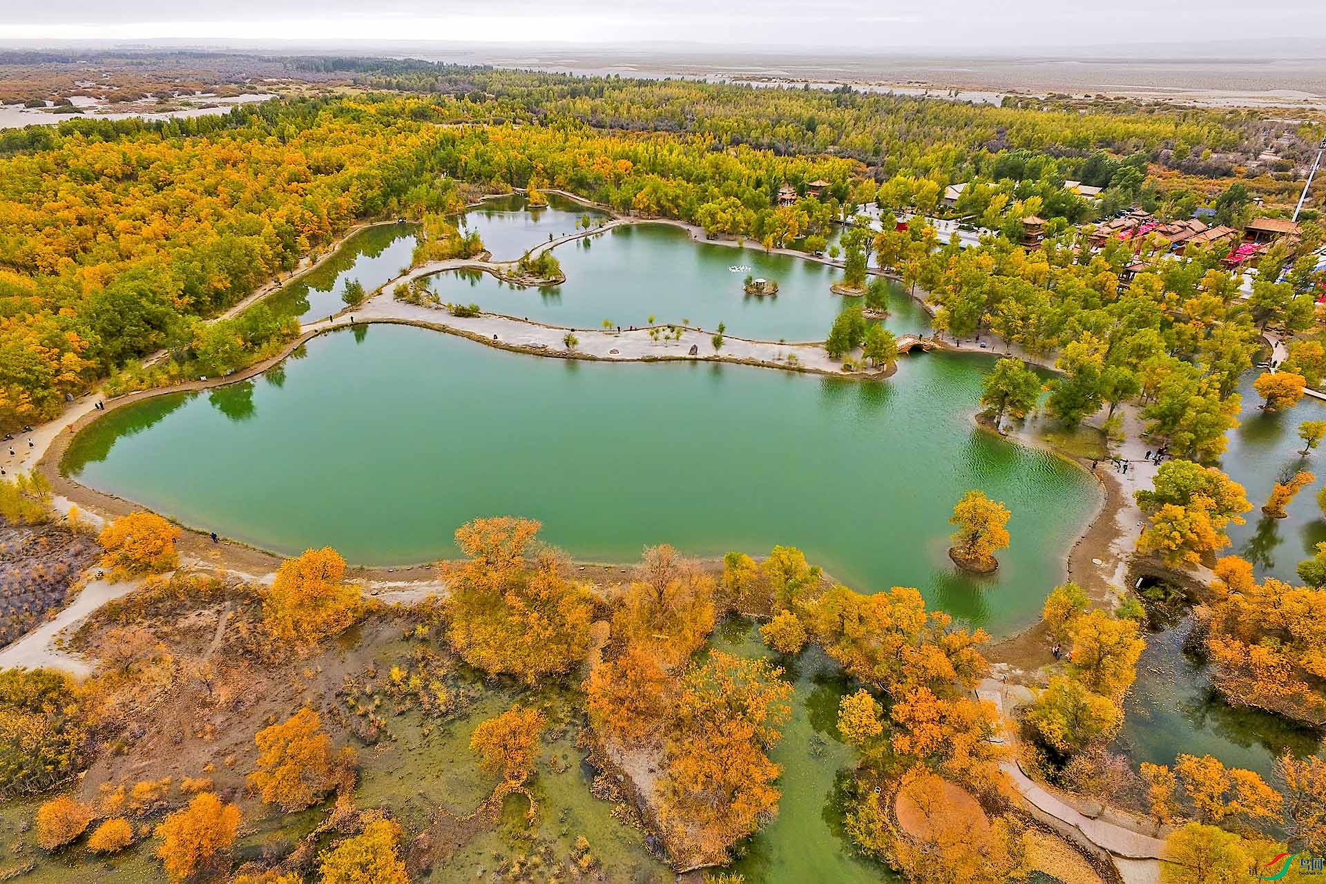 DJI_0011--.jpg