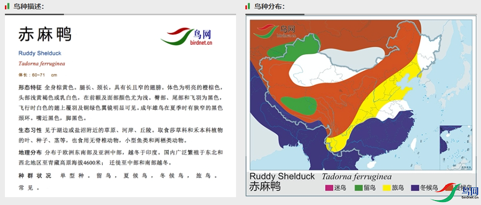screenshot-1712927153550.png