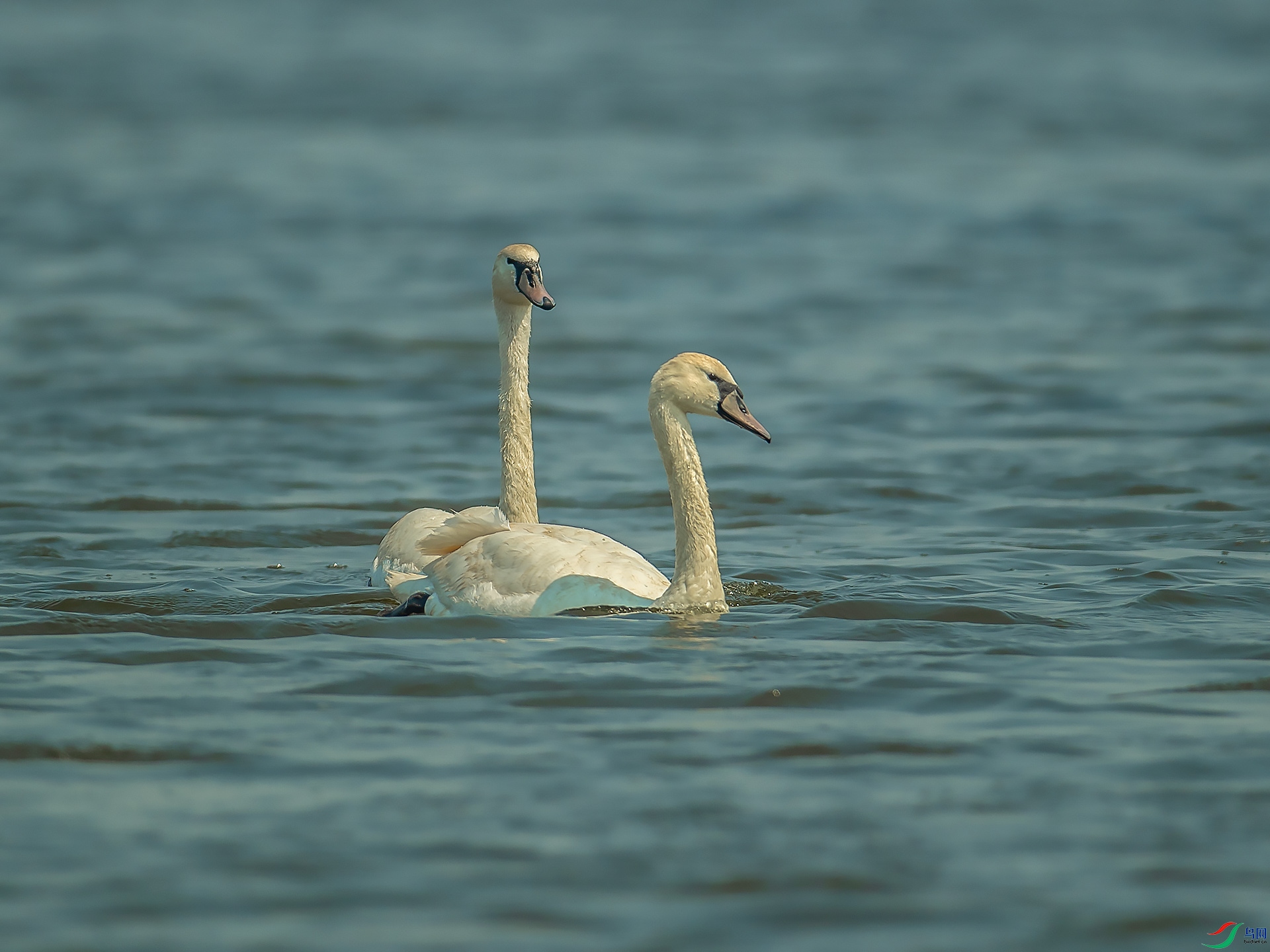 DSC_1262.jpg