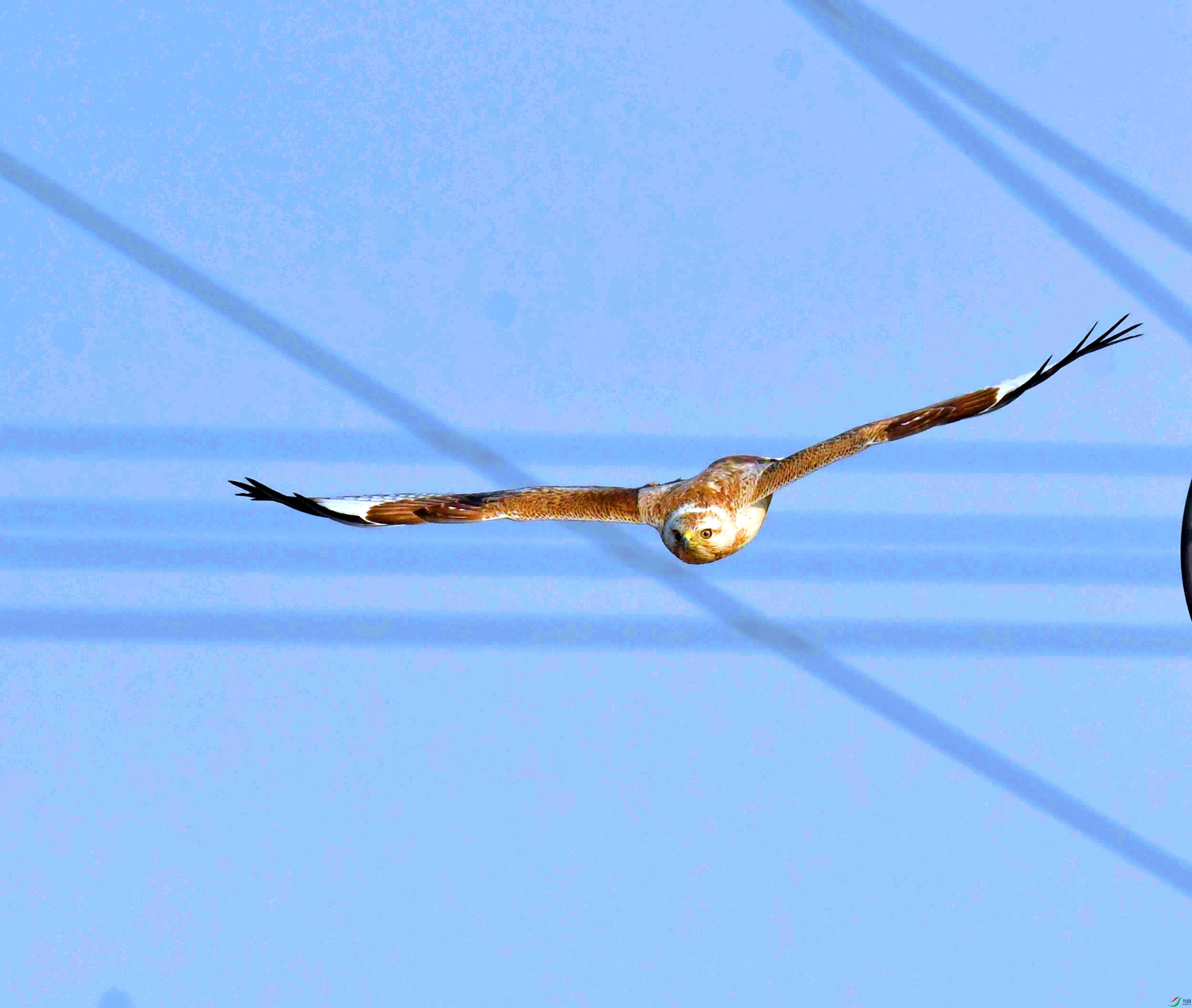 DSC_6096.JPG