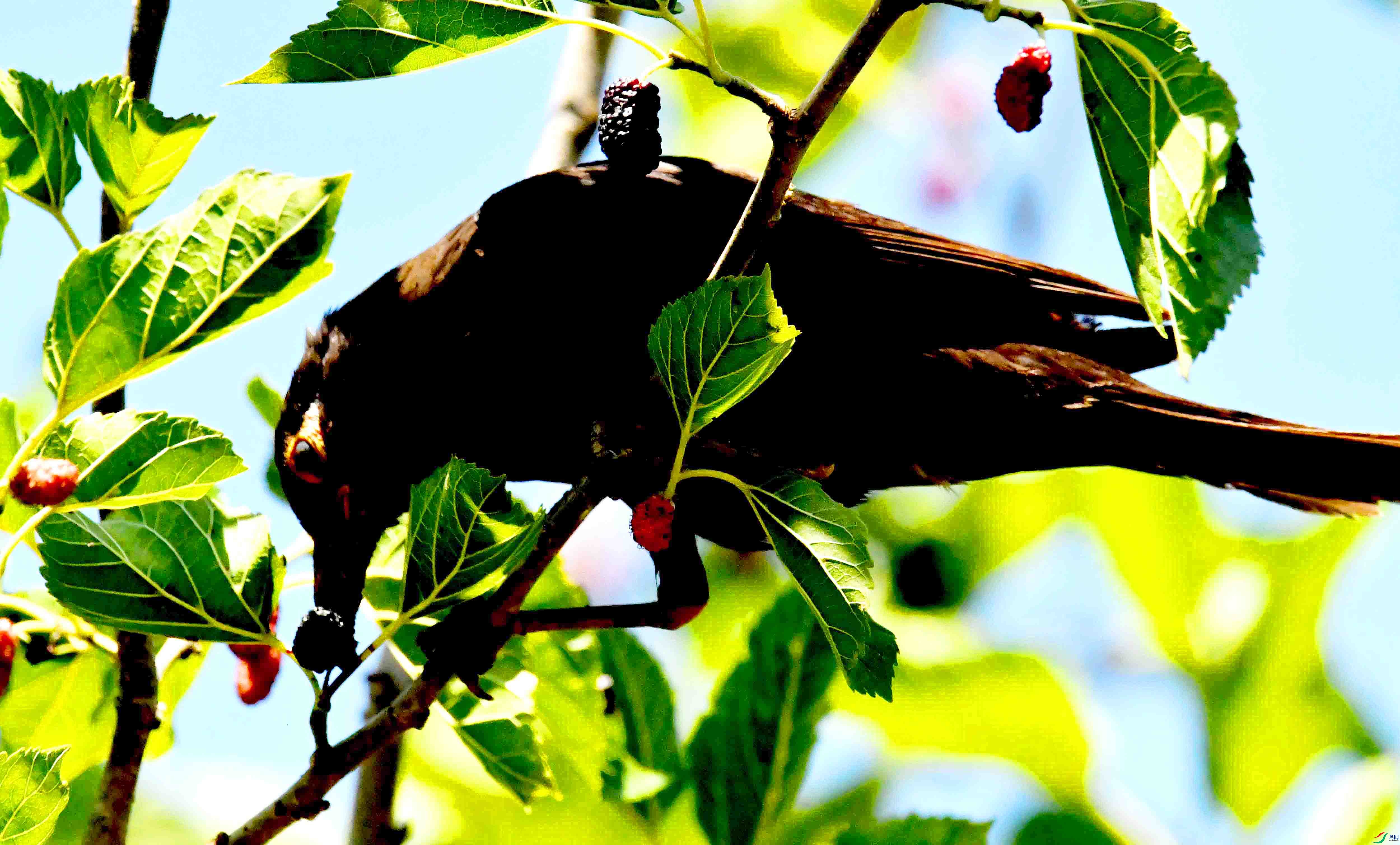 DSC_3842.JPG