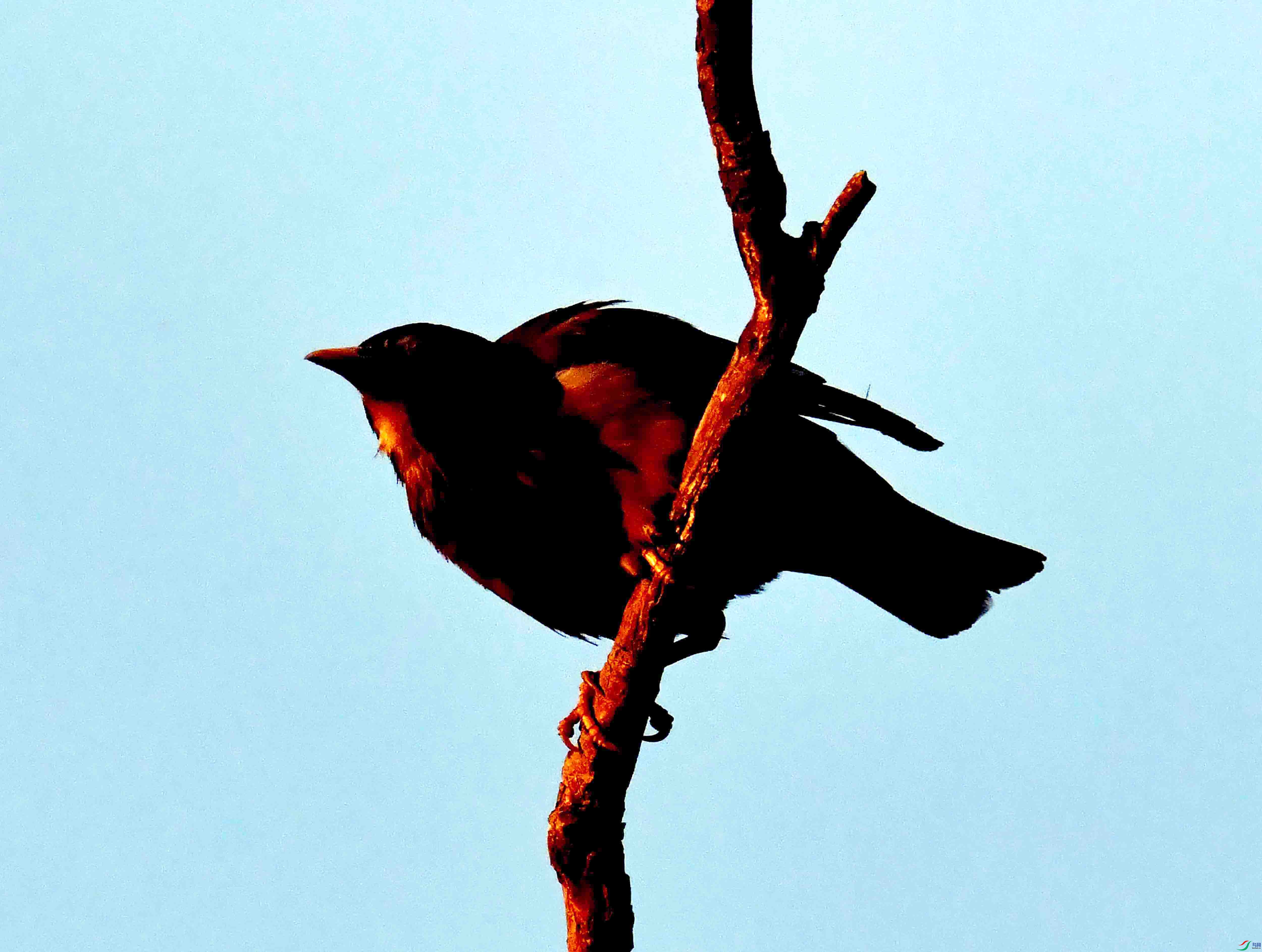 DSC_3926.JPG
