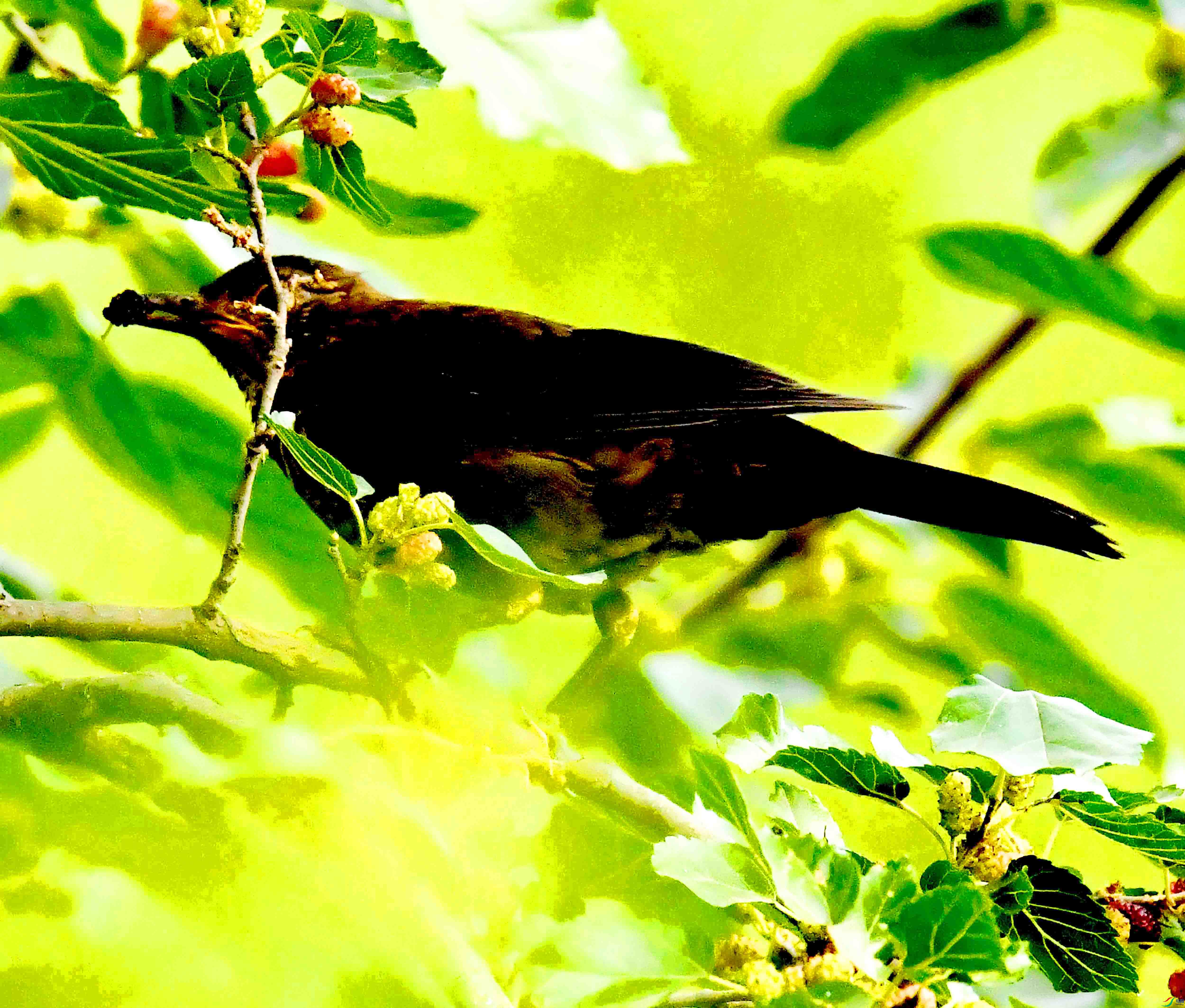 DSC_3965.JPG