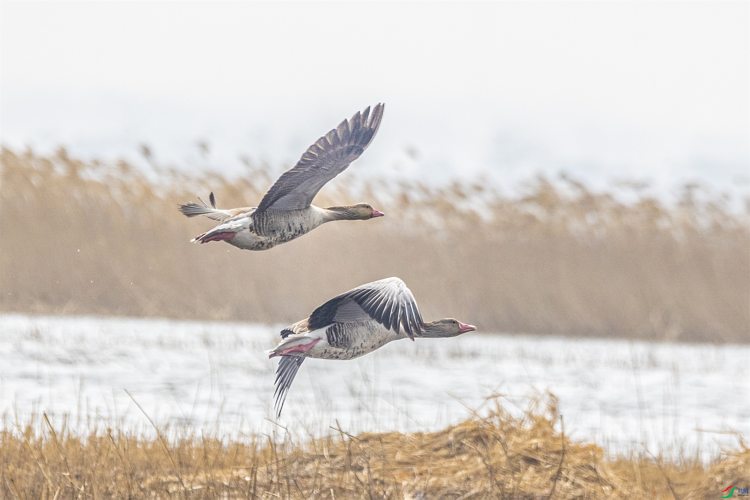 1K3A5897 ����1.jpg