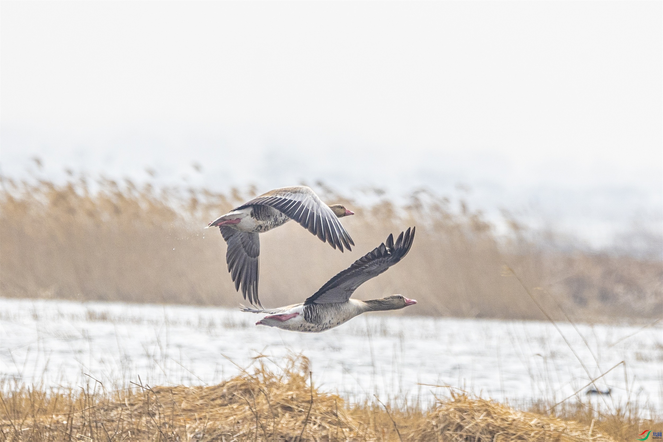 1K3A5899 ����1.jpg