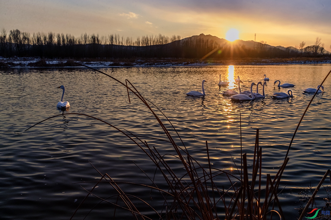 �����----��ԡ����