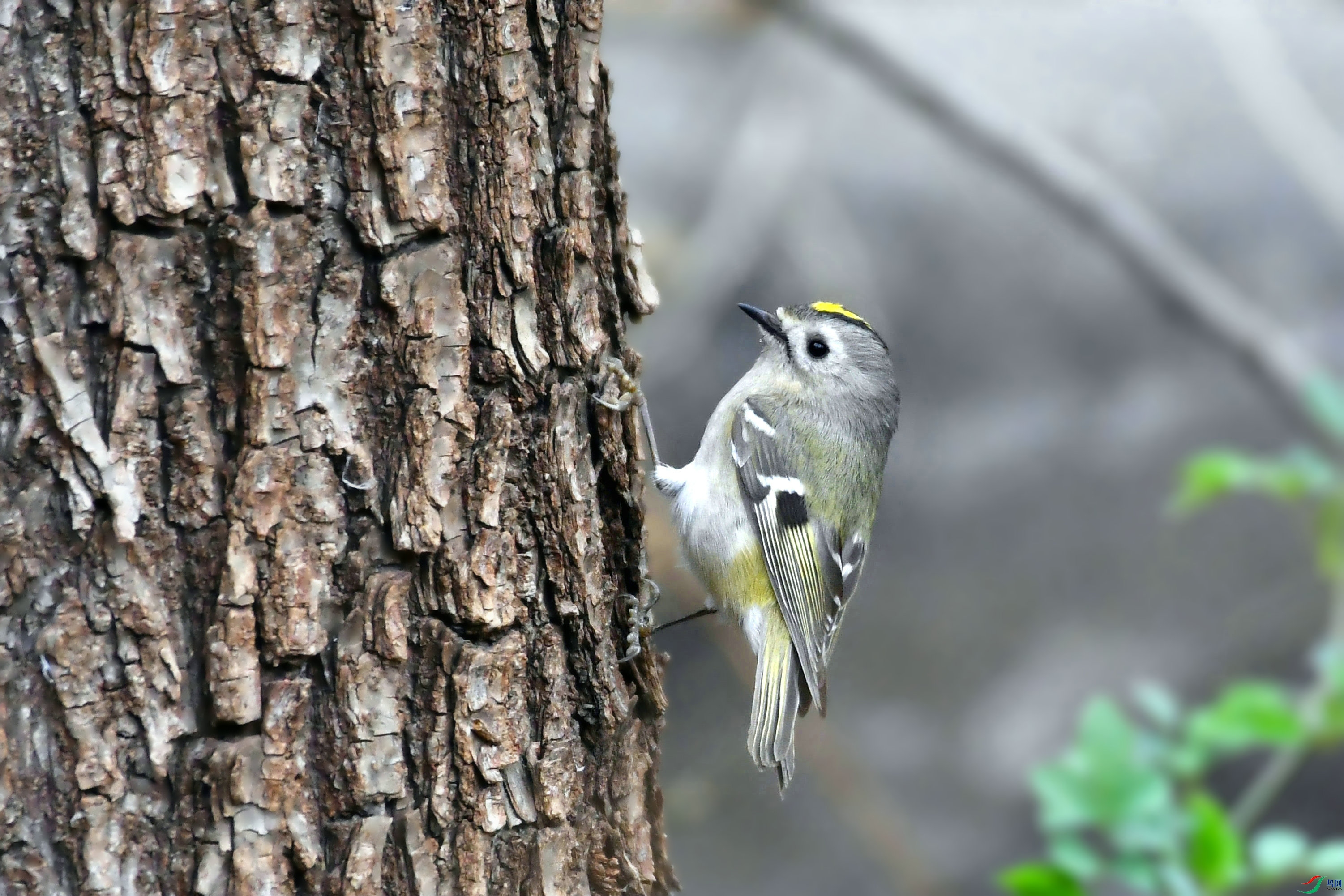 DSC_7142.JPG