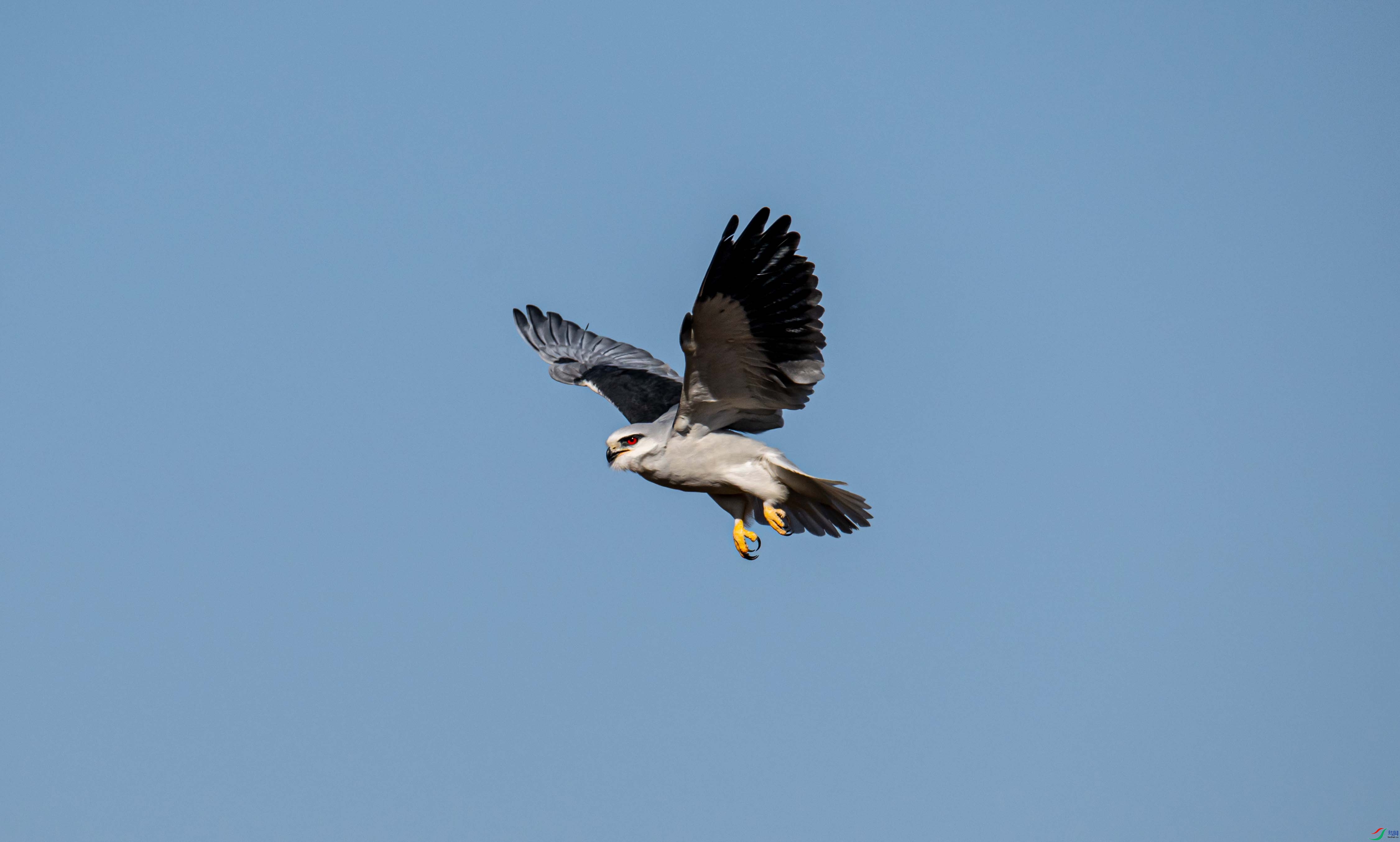 DSC_7002-1.jpg