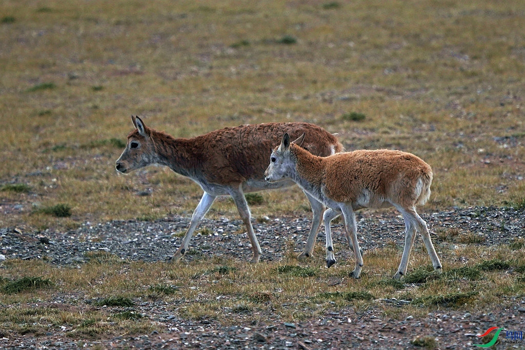DSC09929_����.jpg