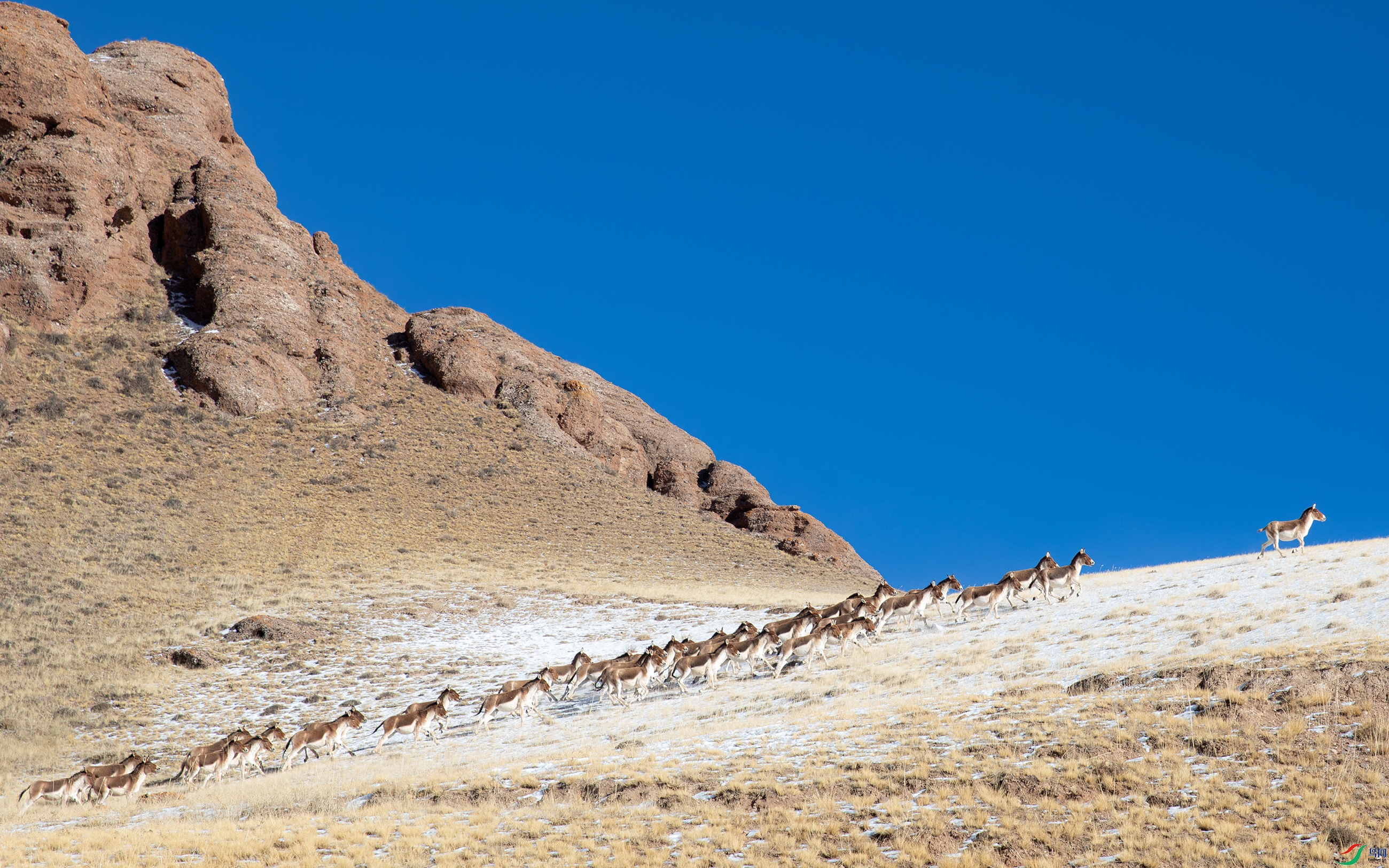 3S5A7513-����ǿ-NR ����.jpg