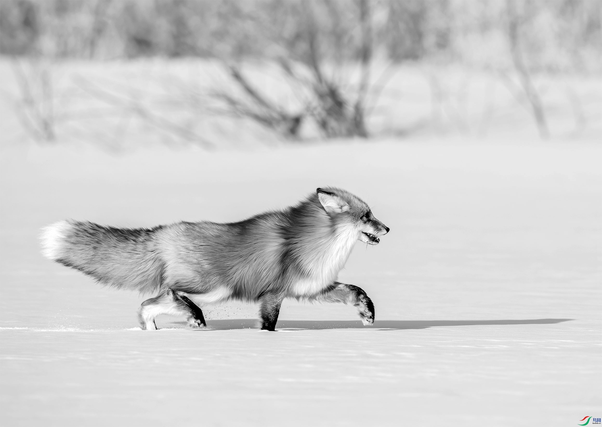 AC3I1648 ����_����.jpg