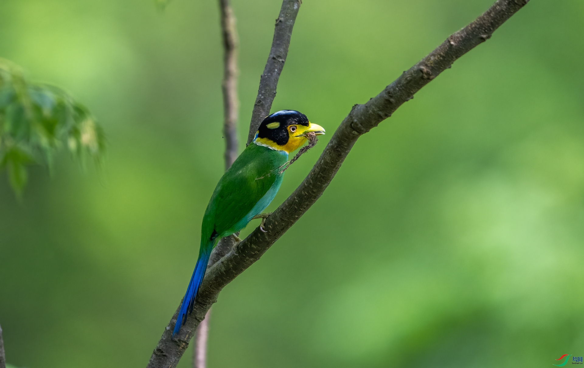 DSC_9081.jpg