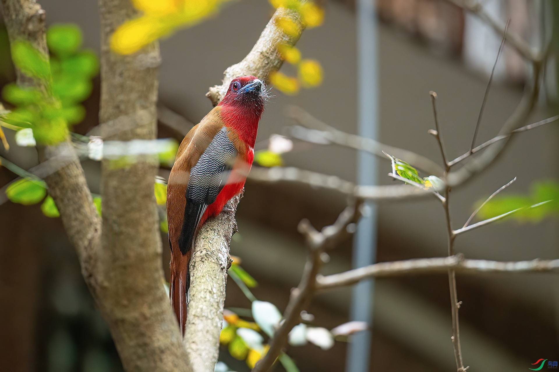 DSC_1379.jpg