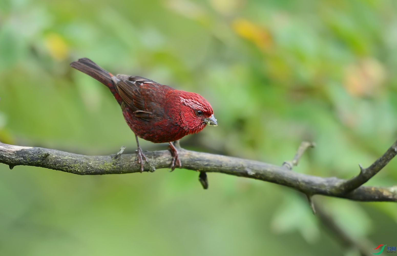 DSC_2147.jpg