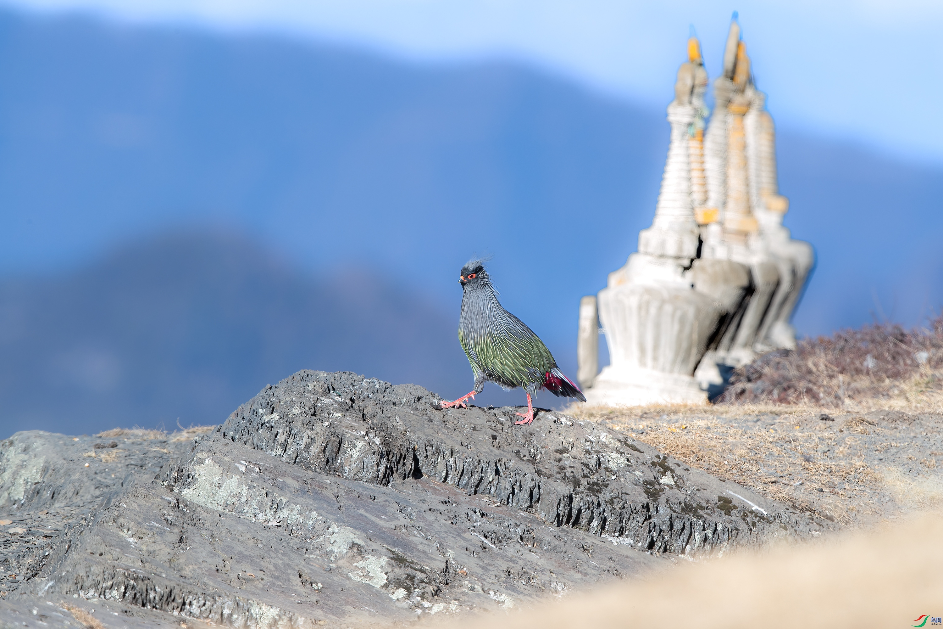 AY8I0379 ����.jpg