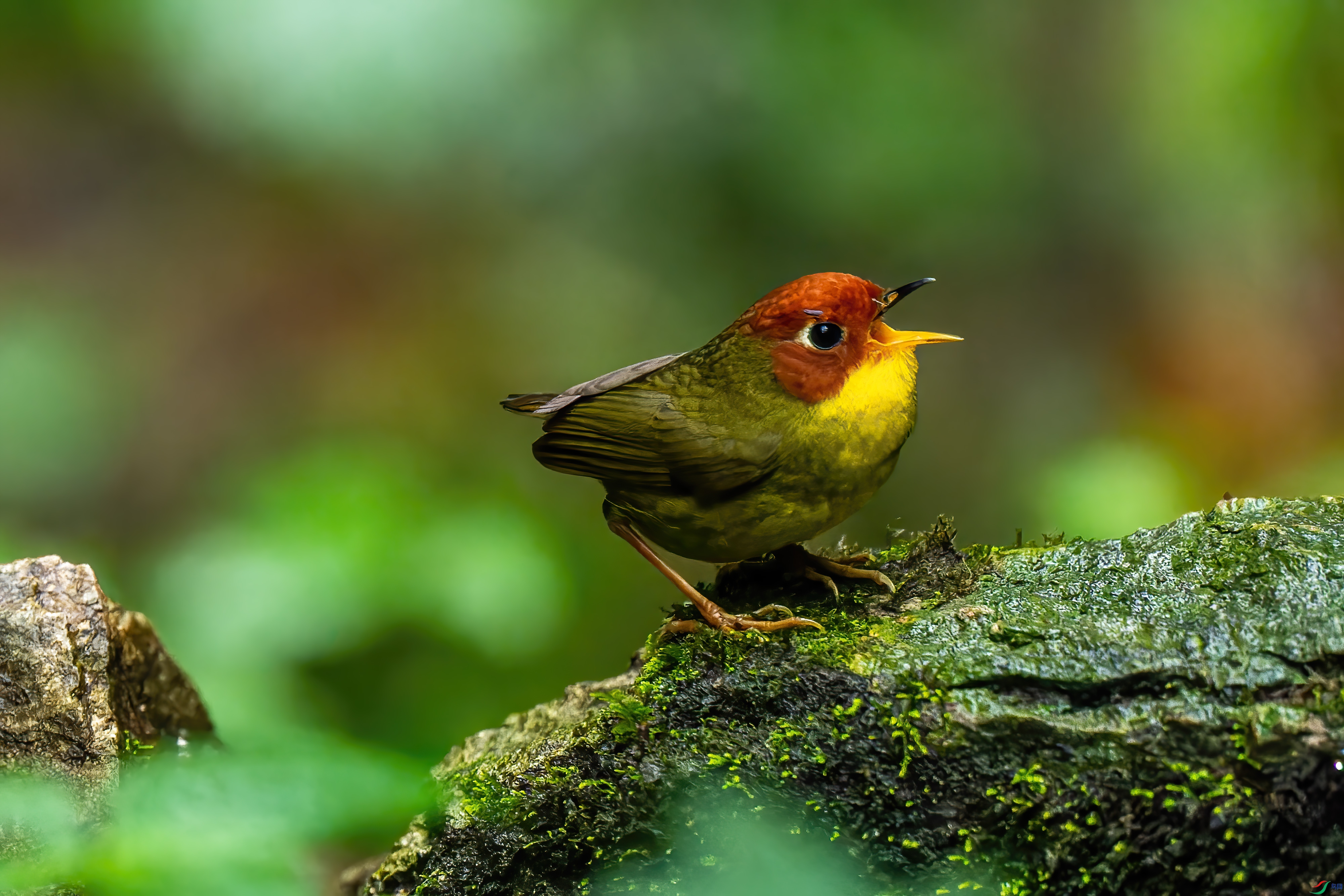 DSC_8169.jpg
