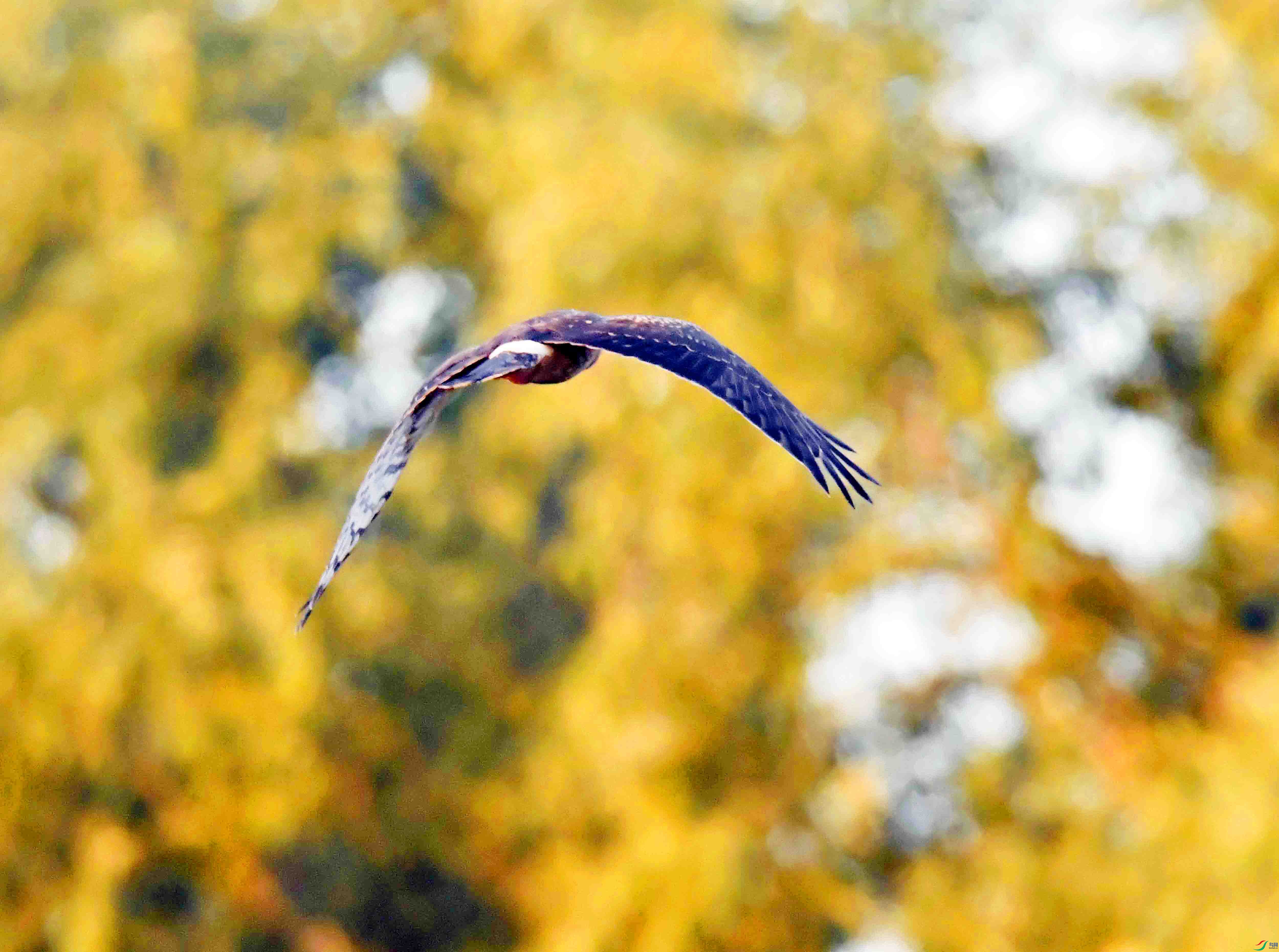 DSC_8370.JPG