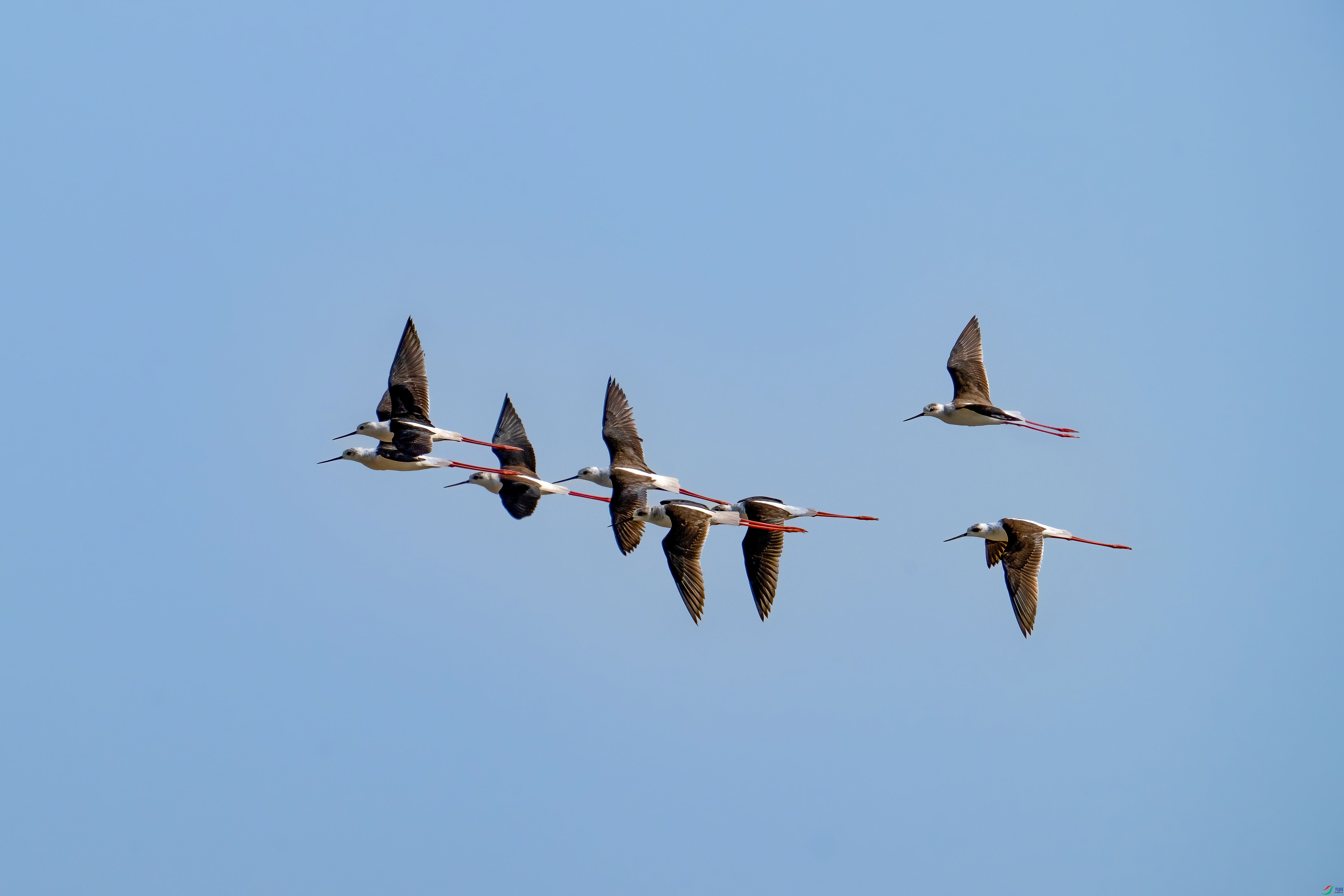 DSC_8680.jpg