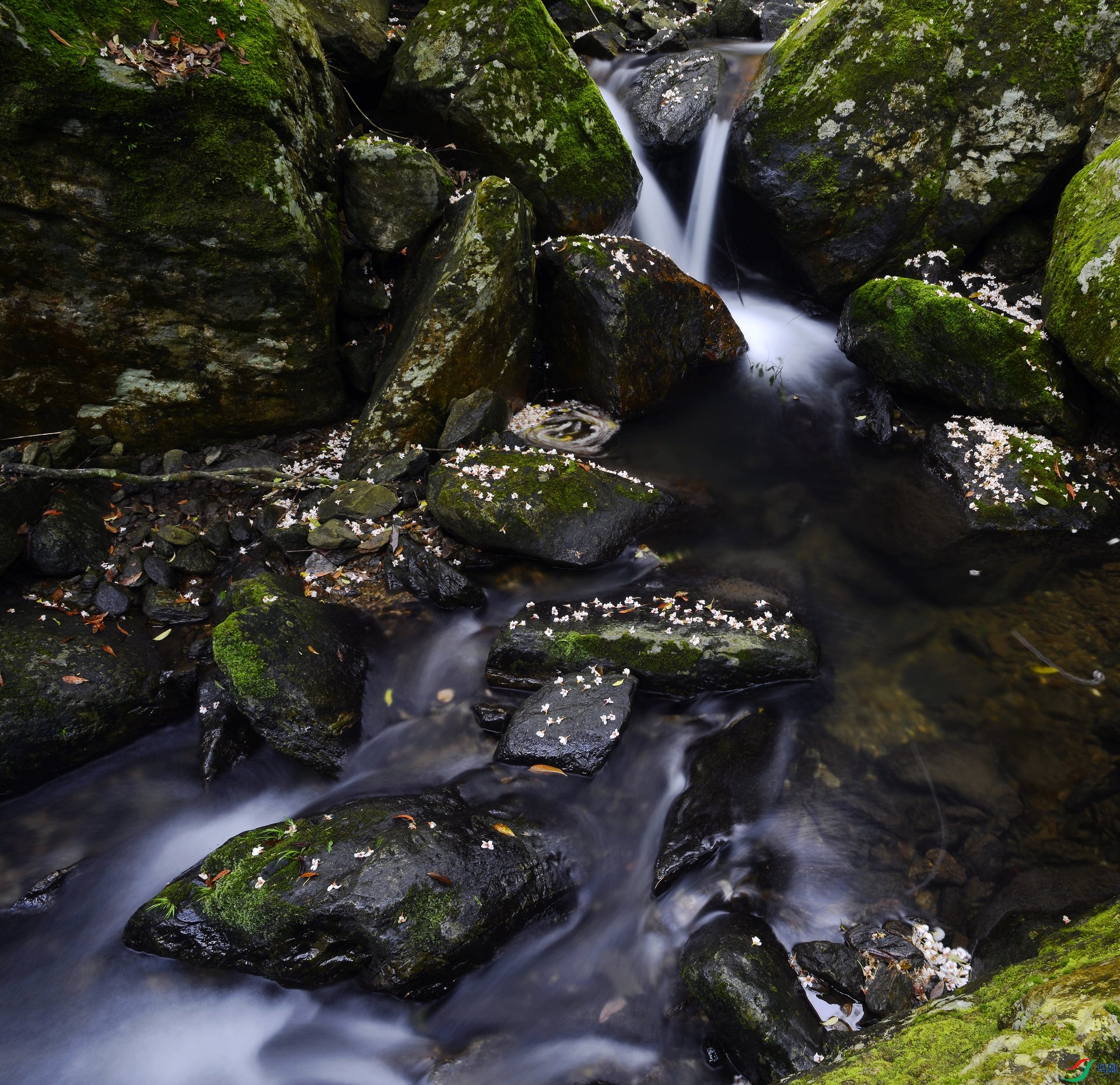 _D800219.jpg