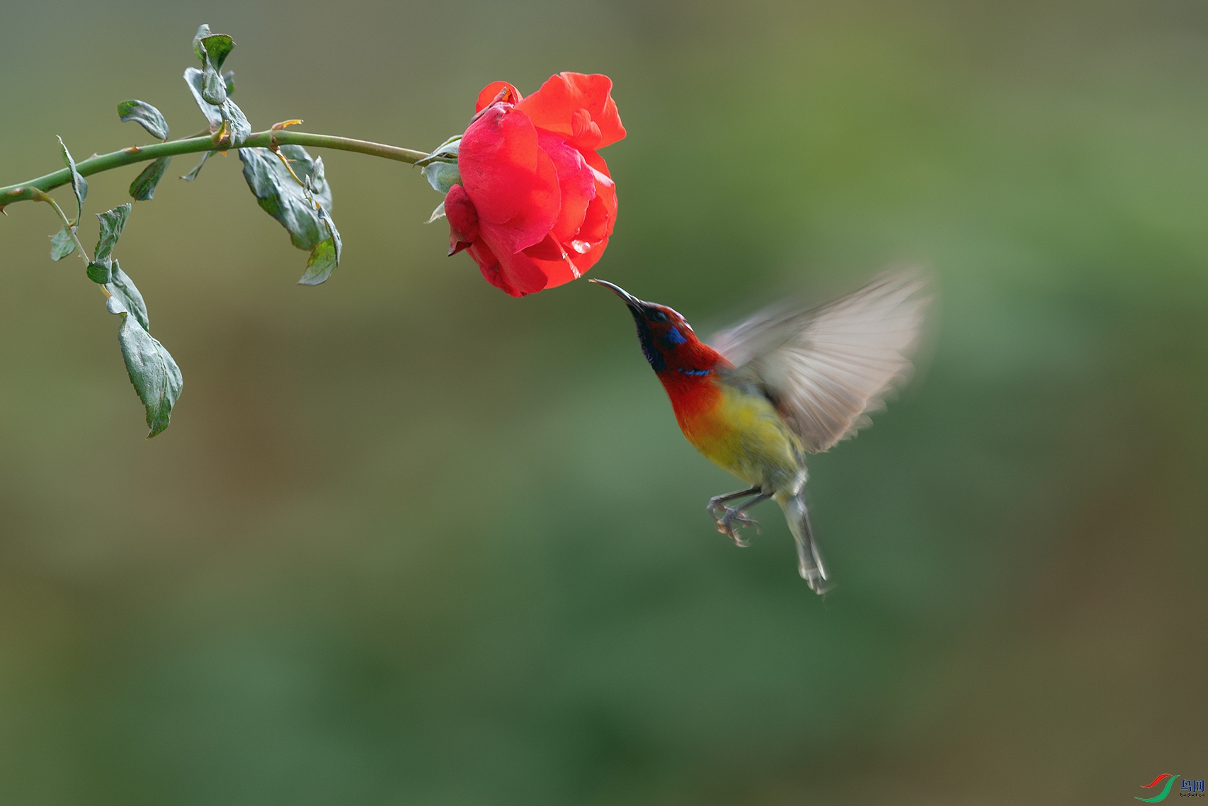 4DSC_6318_DxOa.jpg